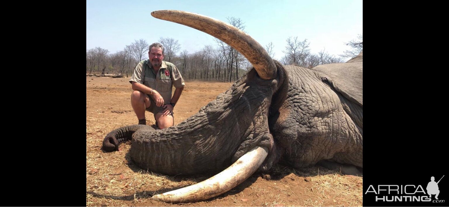 Hunt Elephant in Zimbabwe | AfricaHunting.com