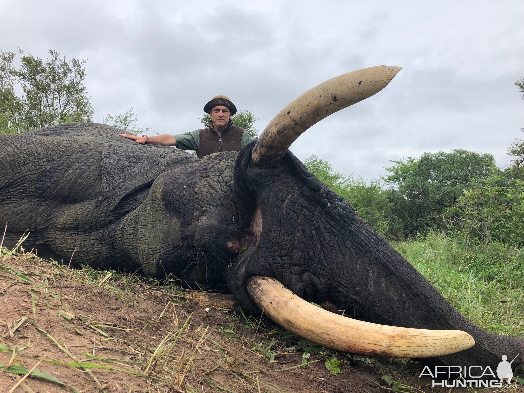 Hunt Elephant in Zimbabwe