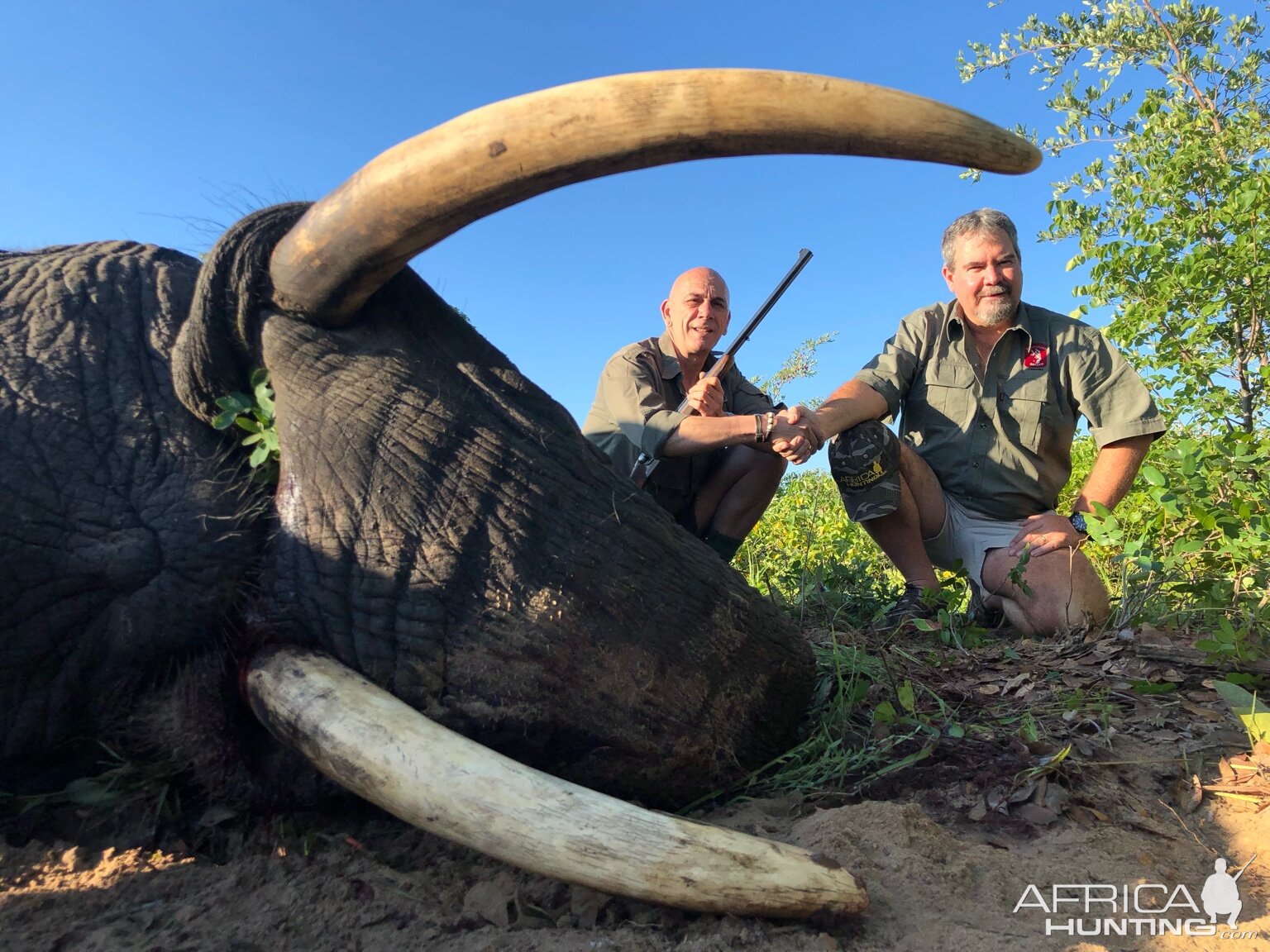 Hunt Elephant in Zimbabwe | AfricaHunting.com