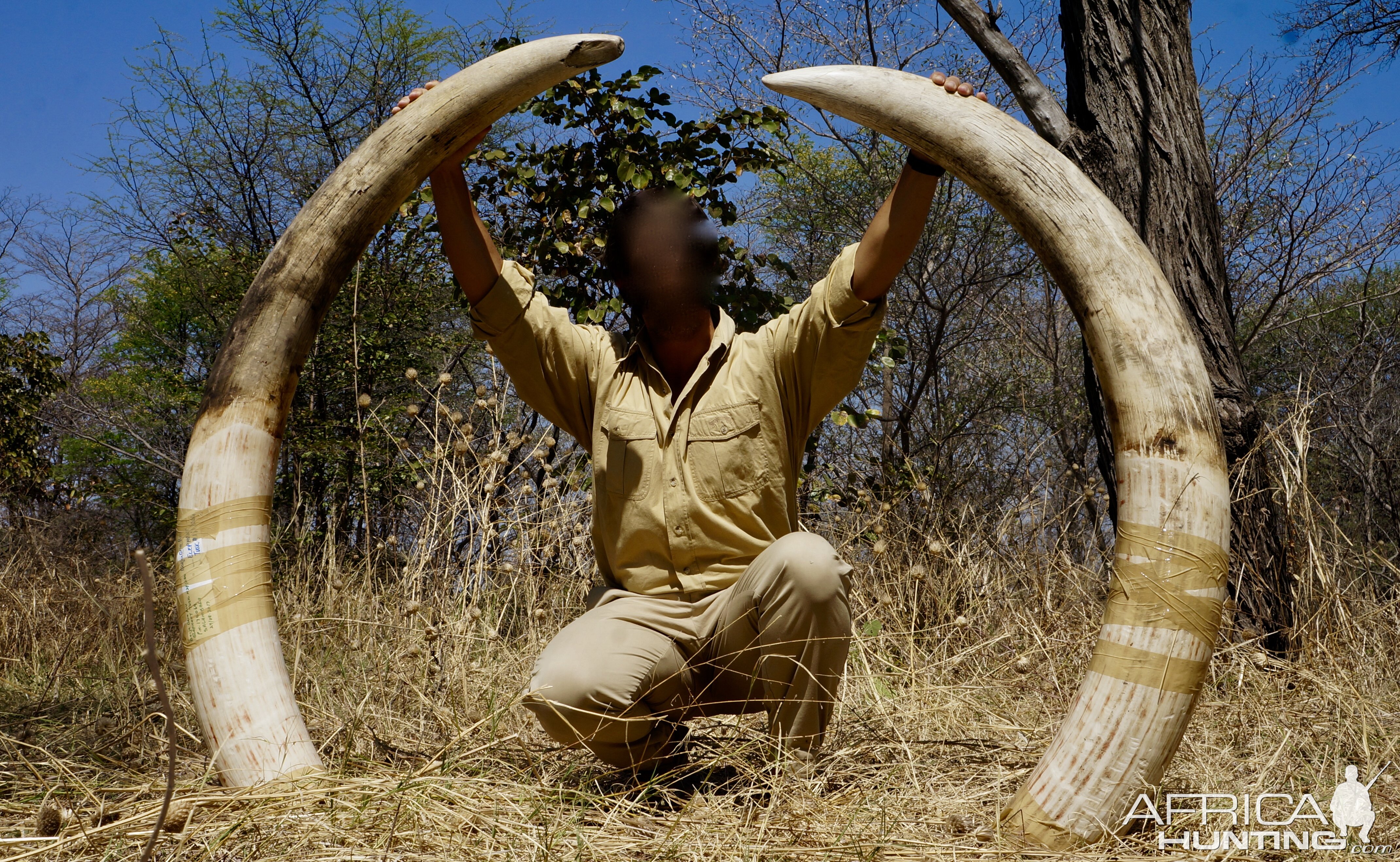 elephant hunting videos african safari hunts