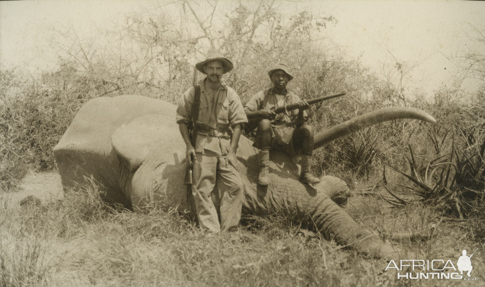 Hunt Elephant