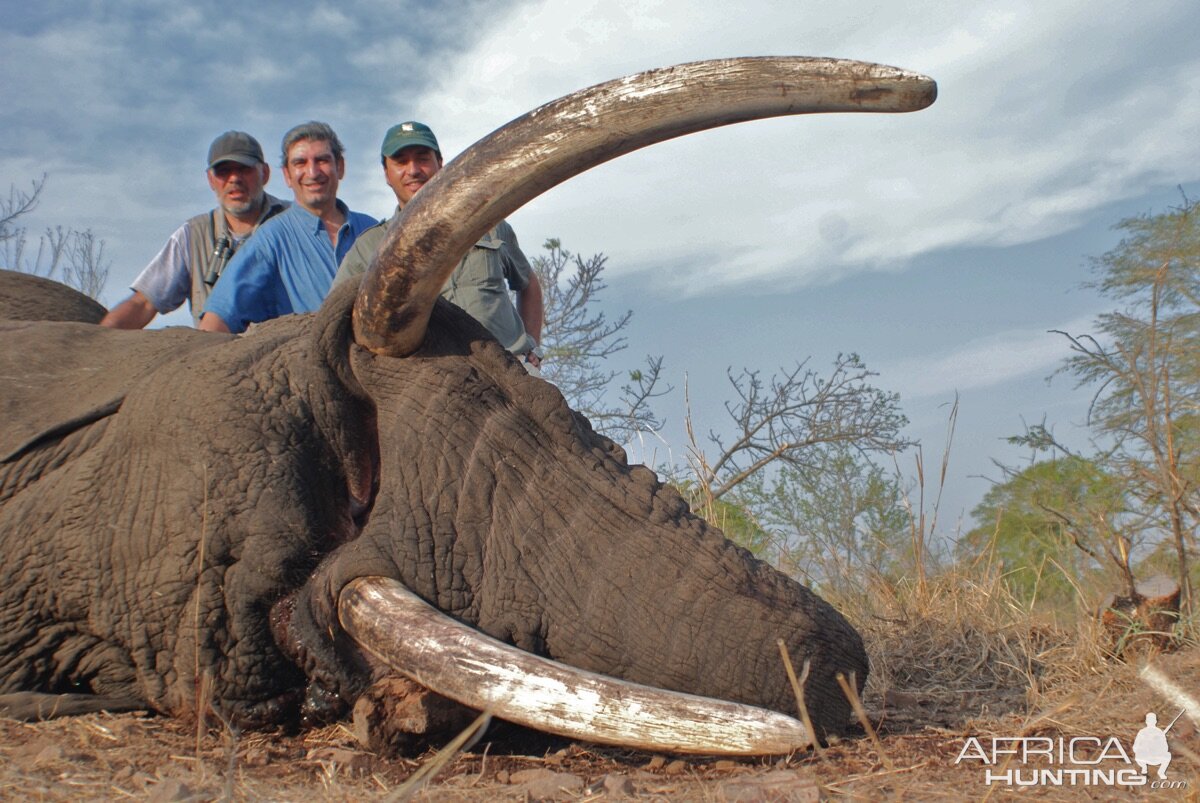 Hunt Elephant | AfricaHunting.com