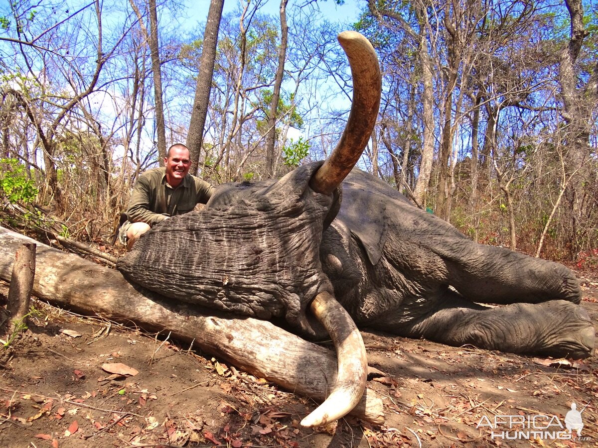 Hunt Elephant | AfricaHunting.com