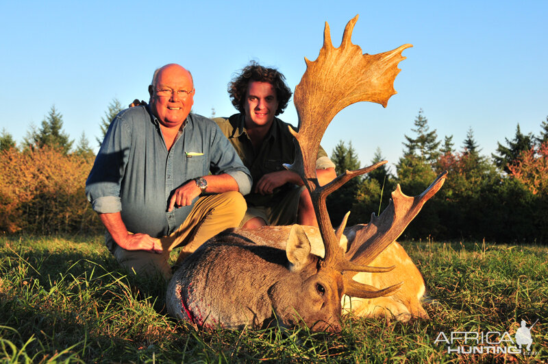 Hunt Fallow Deer France