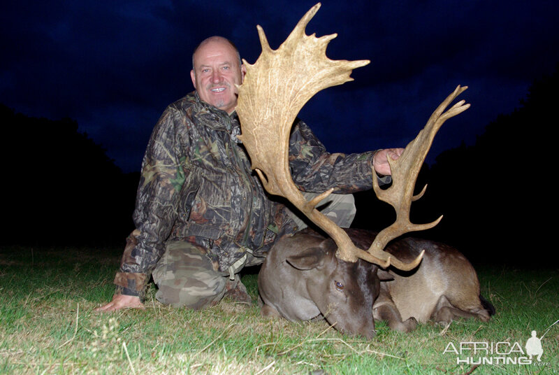 Hunt Fallow Deer France