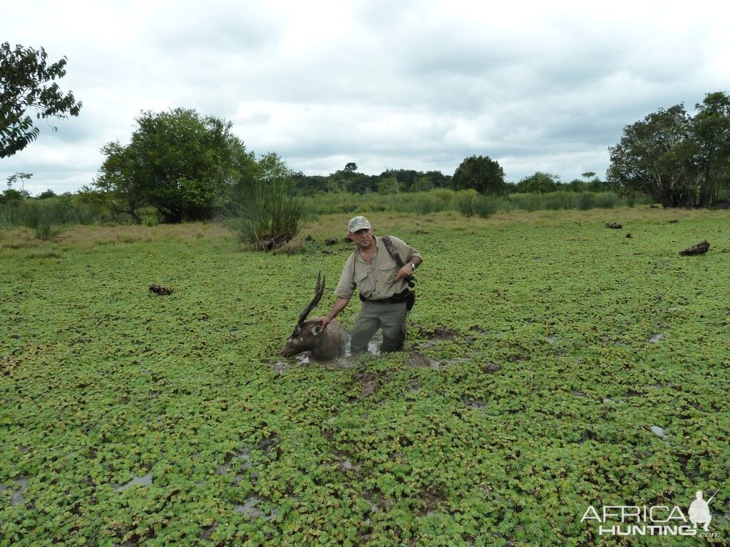 Hunt Gabonese Sitatunga in Gabon