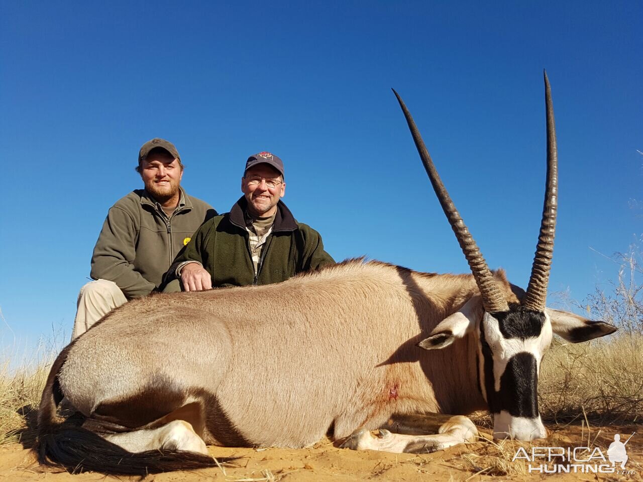 Hunt Gemsbok in South Africa