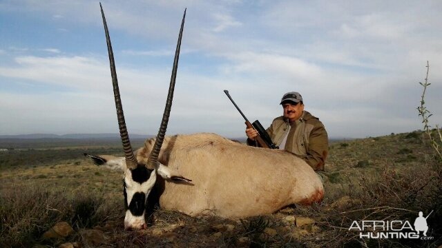 Hunt Gemsbok South Africa