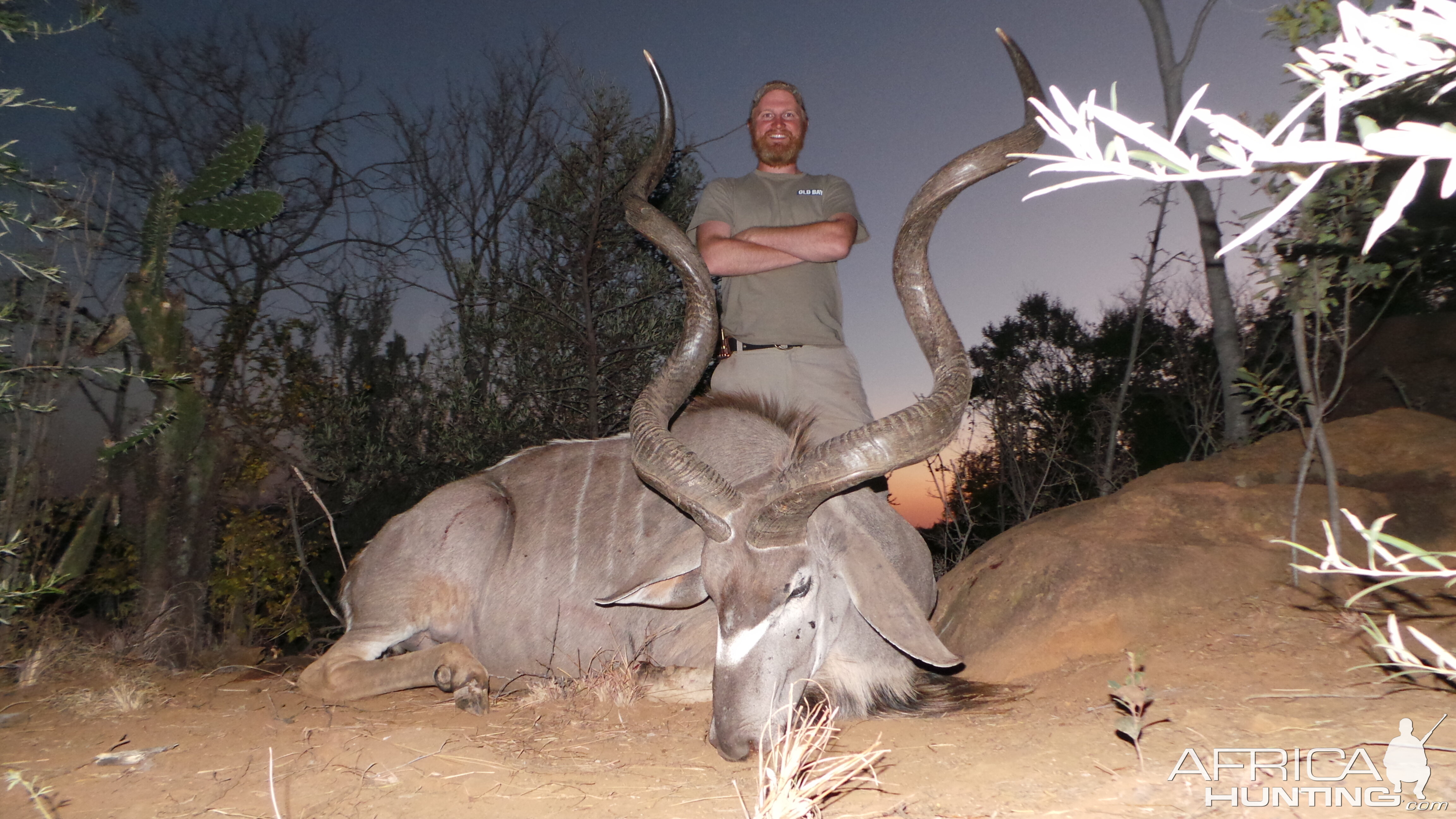 Hunt Gemsbok South Africa