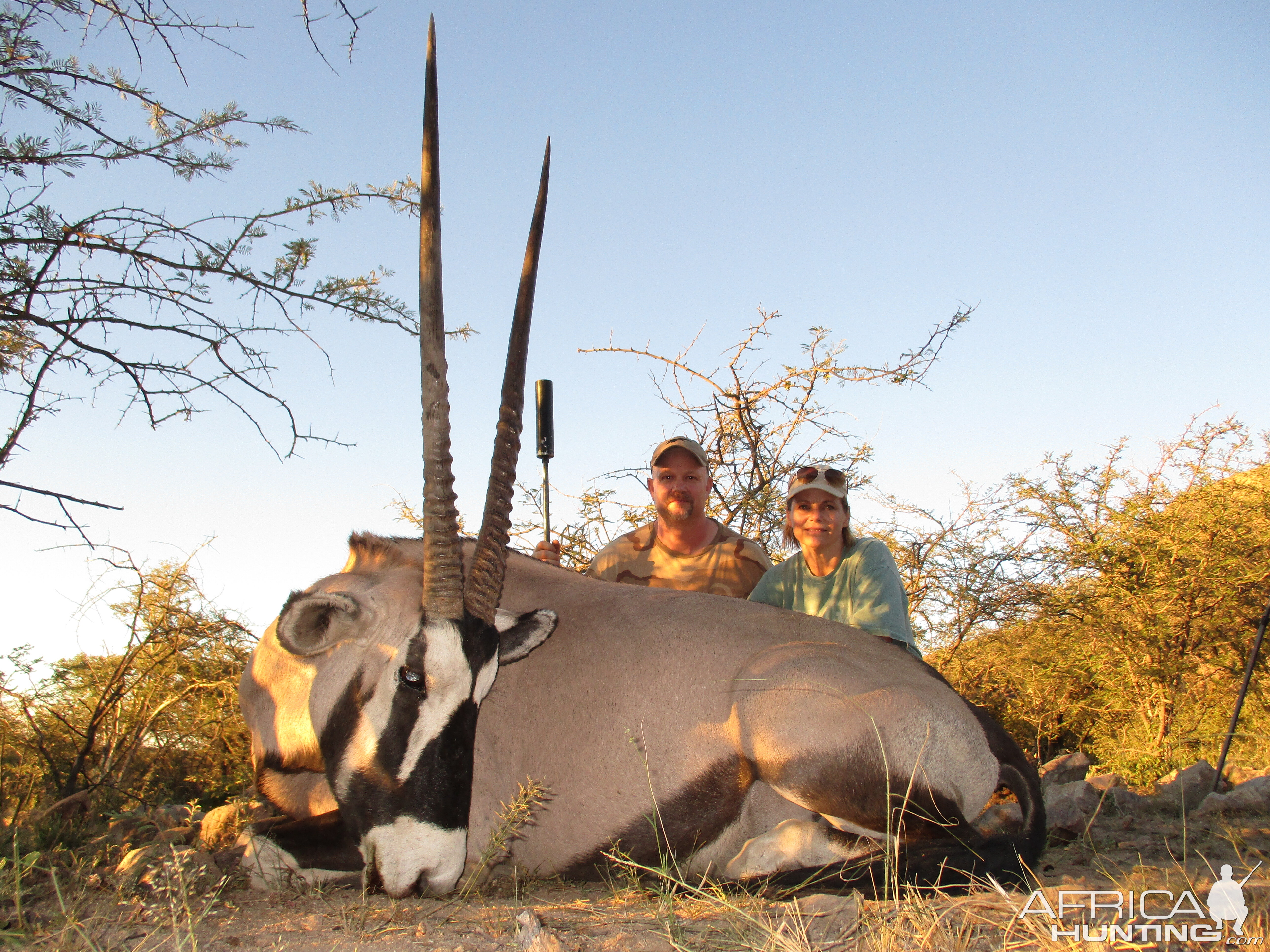 Hunt Gemsbok