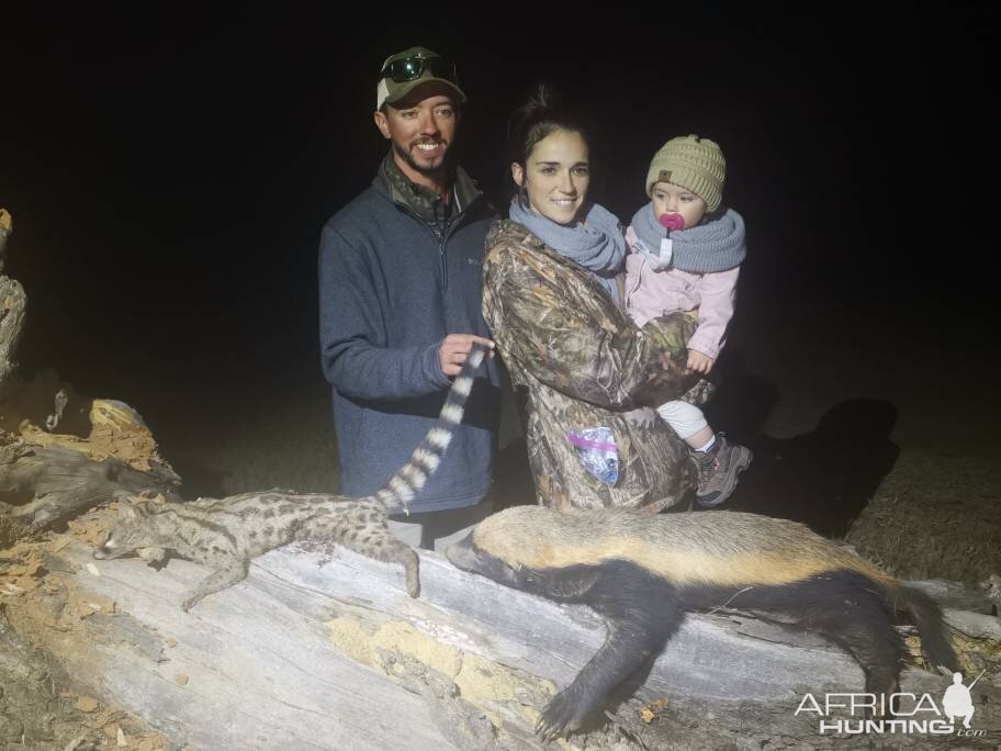 Hunt Genet Cat & African Honey Badger in South Africa