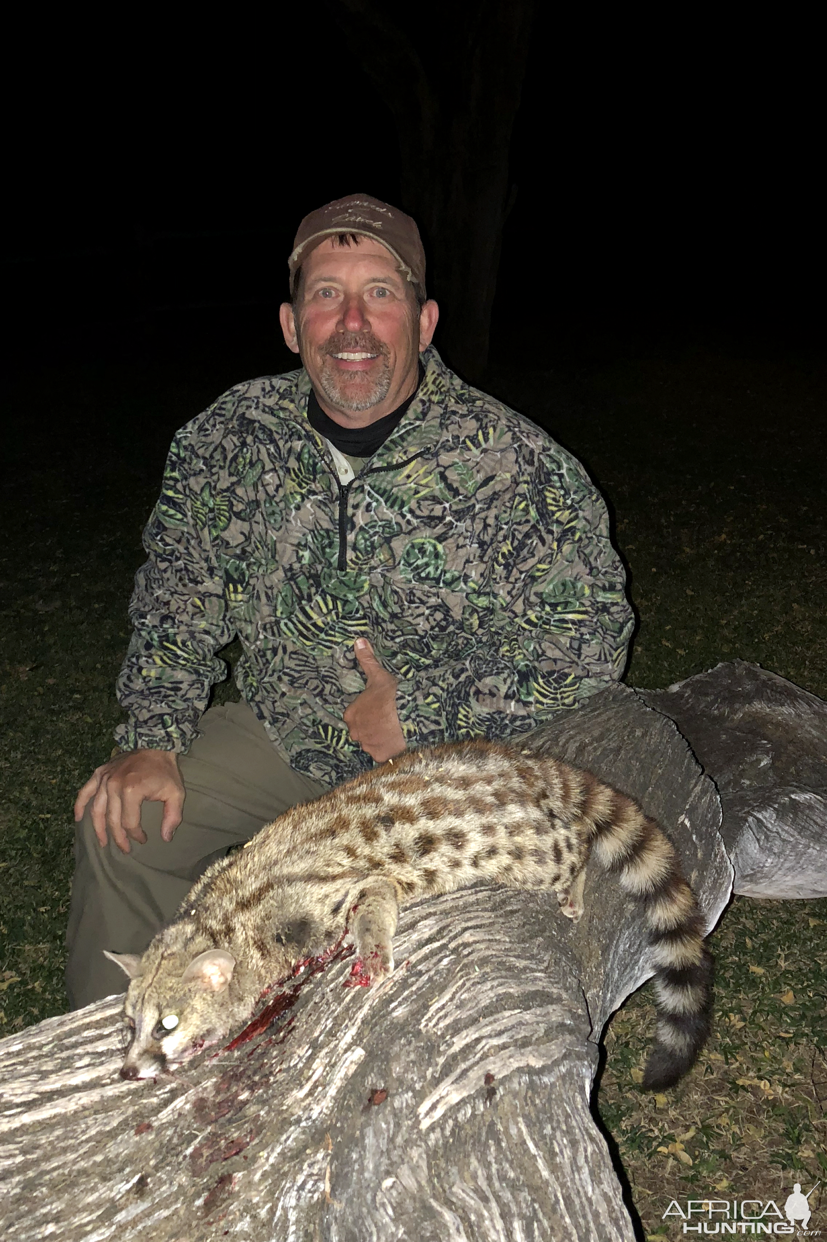 Hunt Genet Cat in South Africa