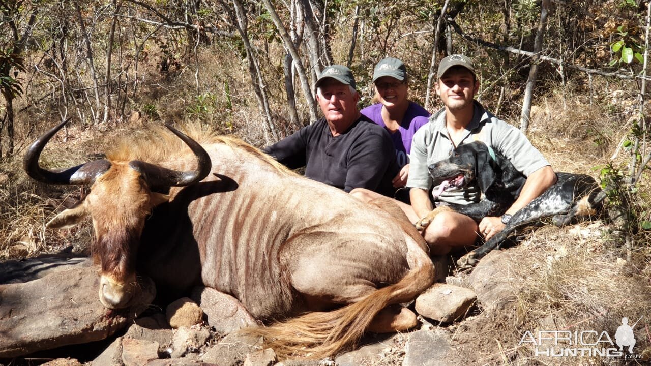 Hunt Golden Wildebeest in South Africa