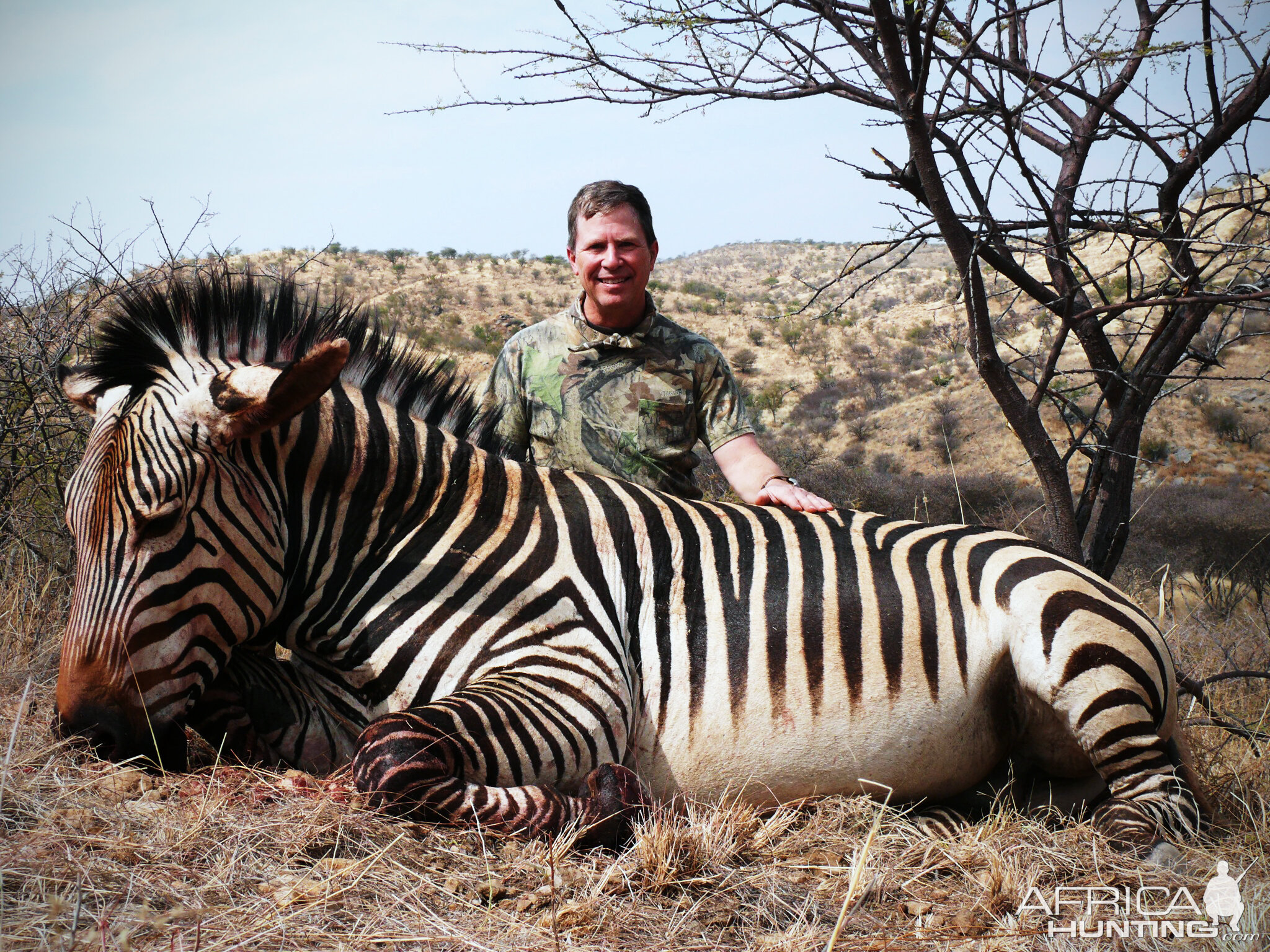 Hunt Hartmann's Mountain Zebra in Namibia