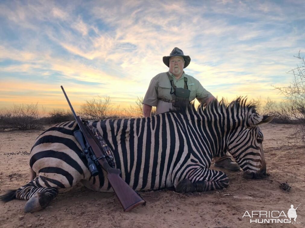 Hunt Hartmann's Mountain Zebra in Namibia