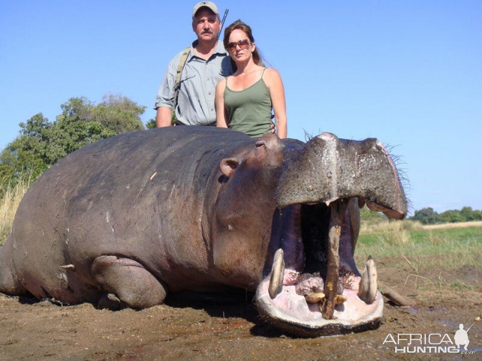 Hunt Hippo Tanzania