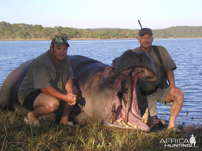 Hunt Hippo Zimbabwe