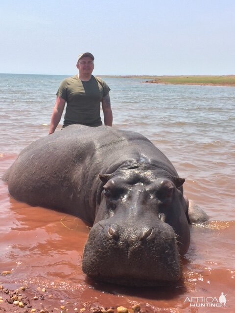 Hunt Hippo Zimbabwe