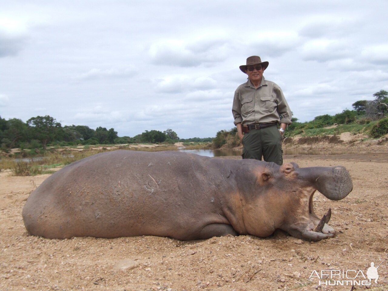 Hunt Hippo