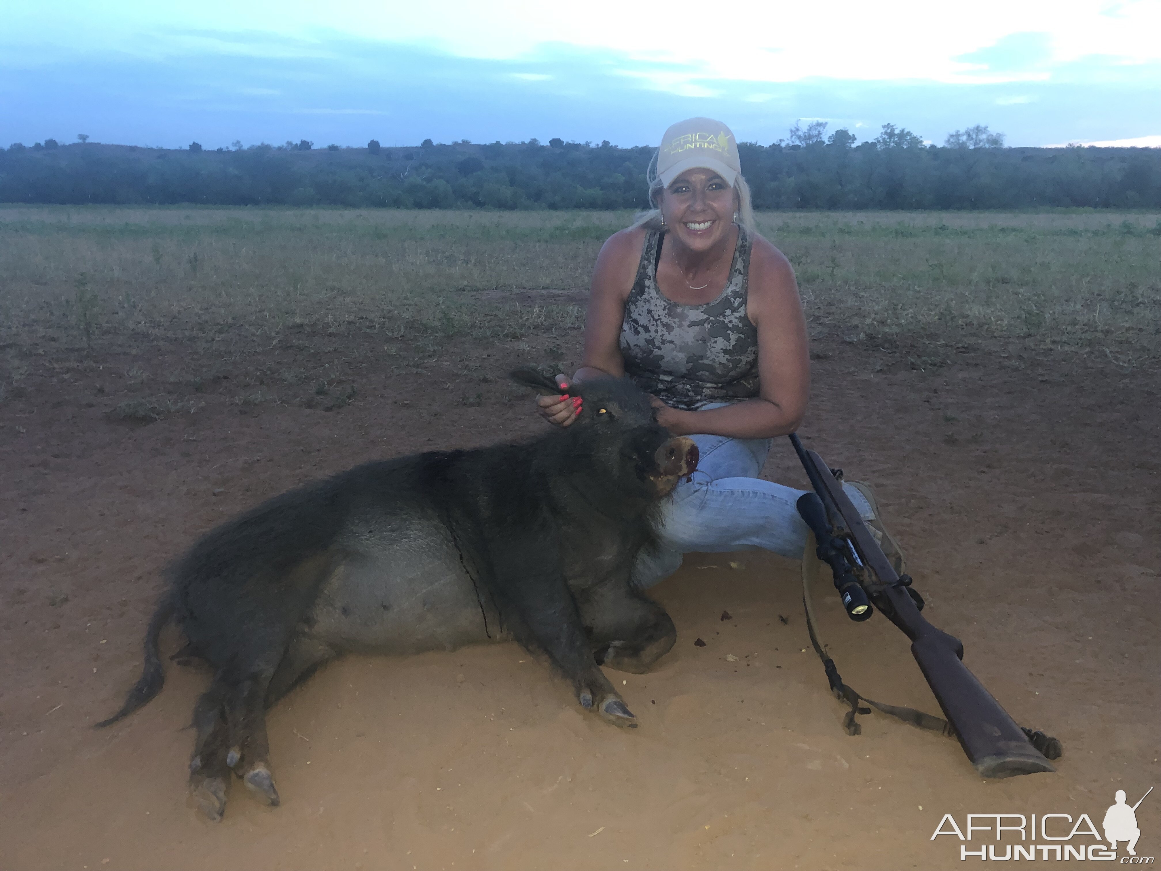 Hunt Hog in Texas USA