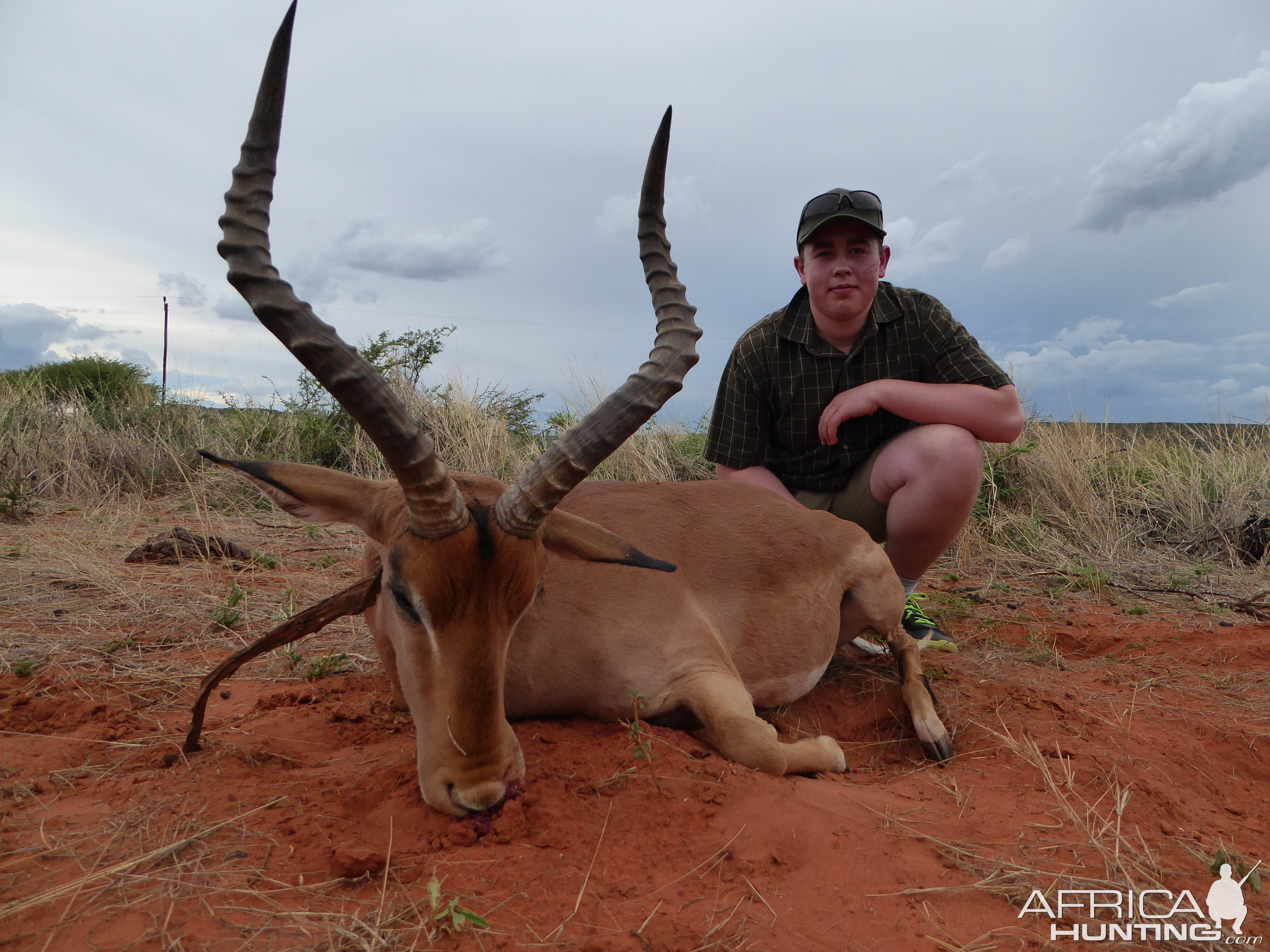 Hunt Impala in Namibia