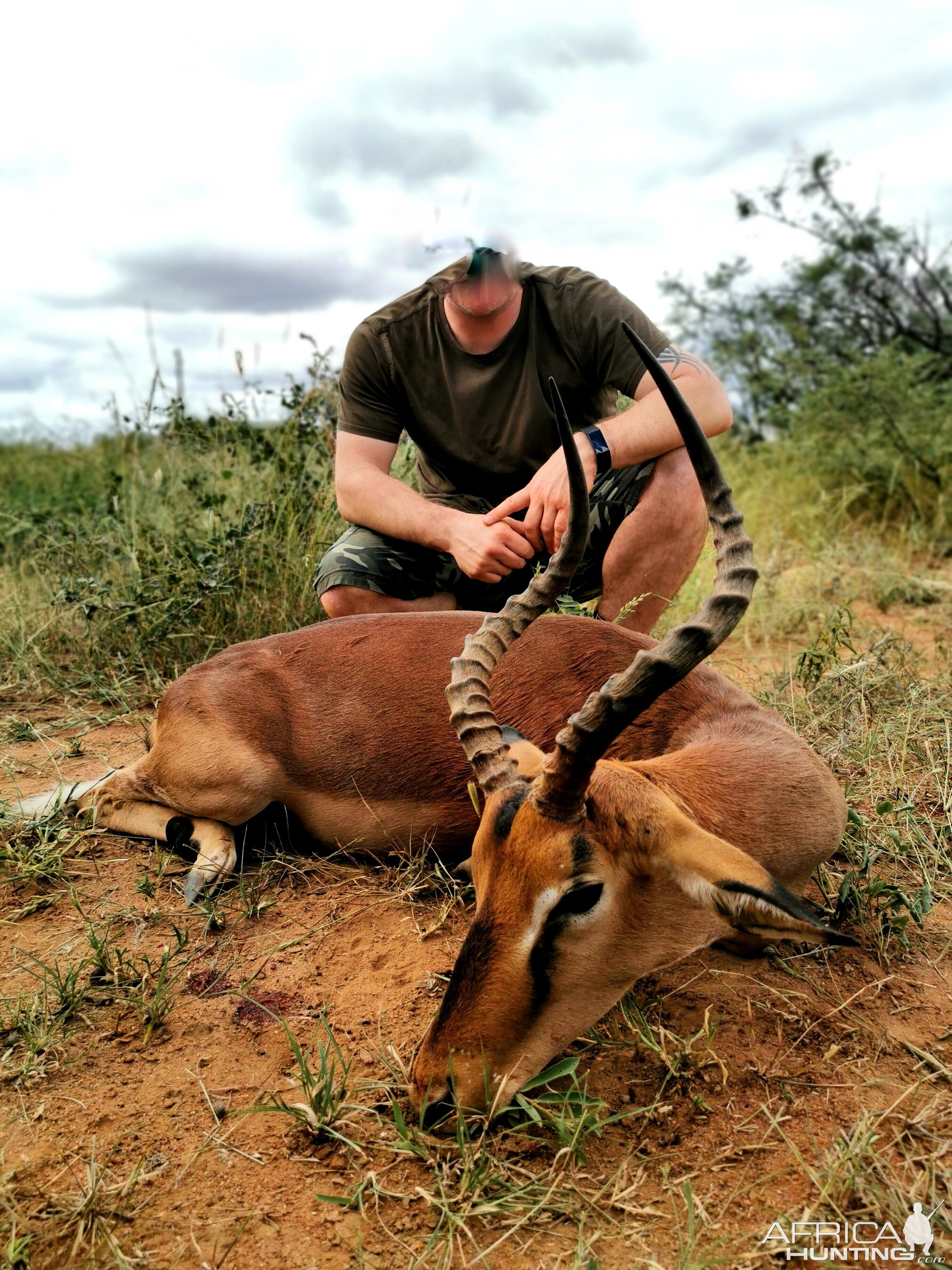 Hunt Impala in South Africa