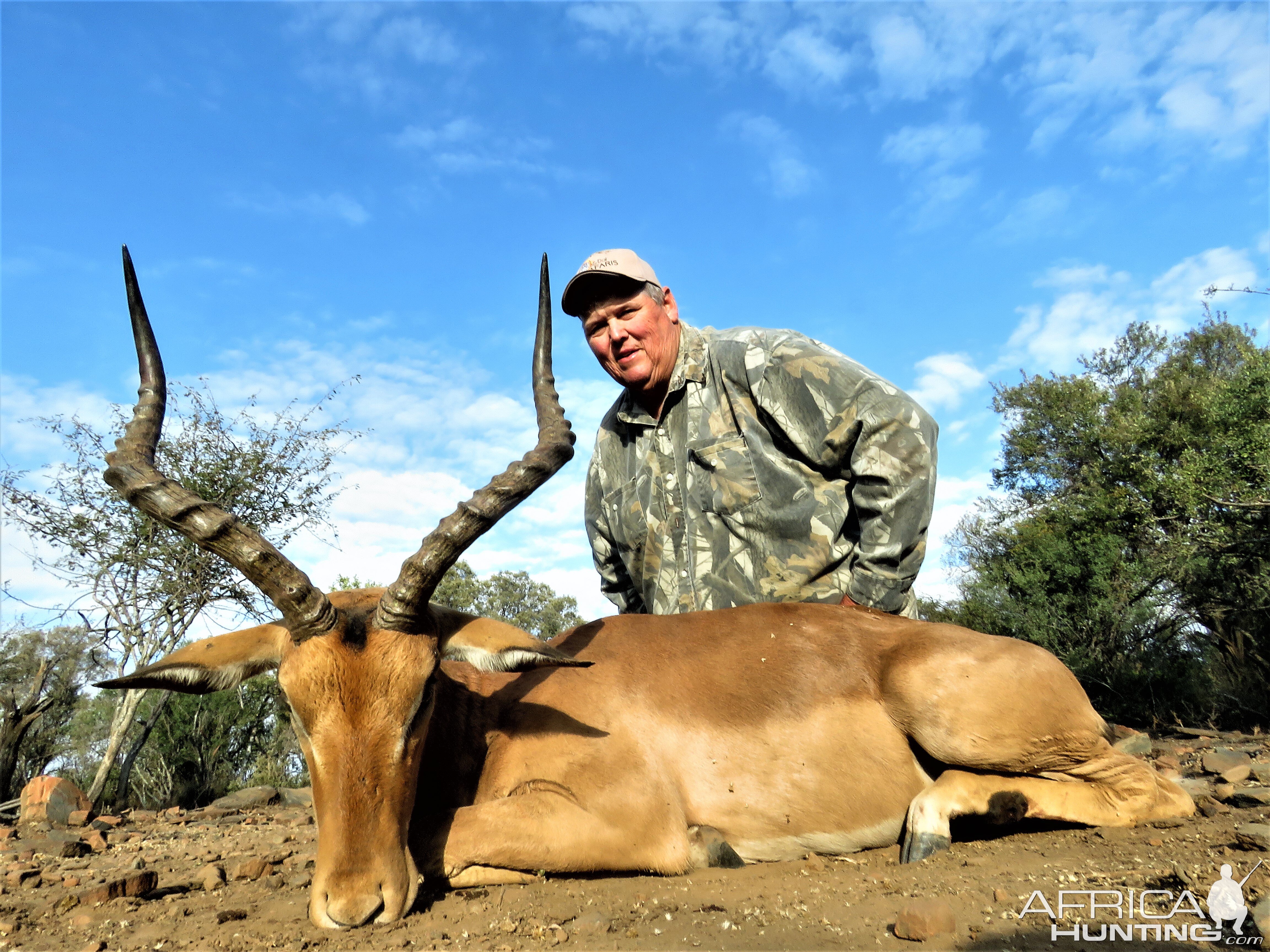 Hunt Impala in South Africa