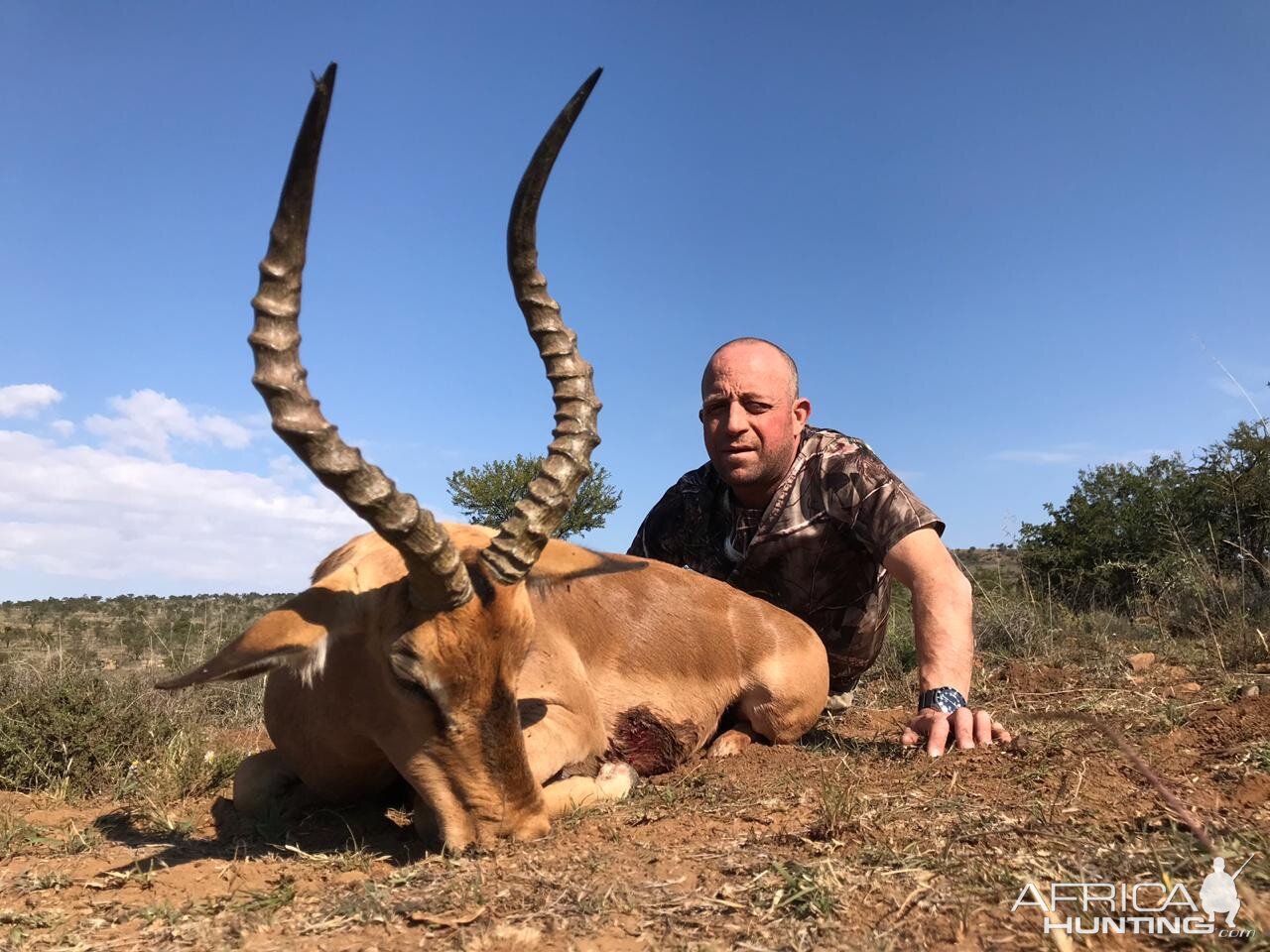 Hunt Impala in South Africa