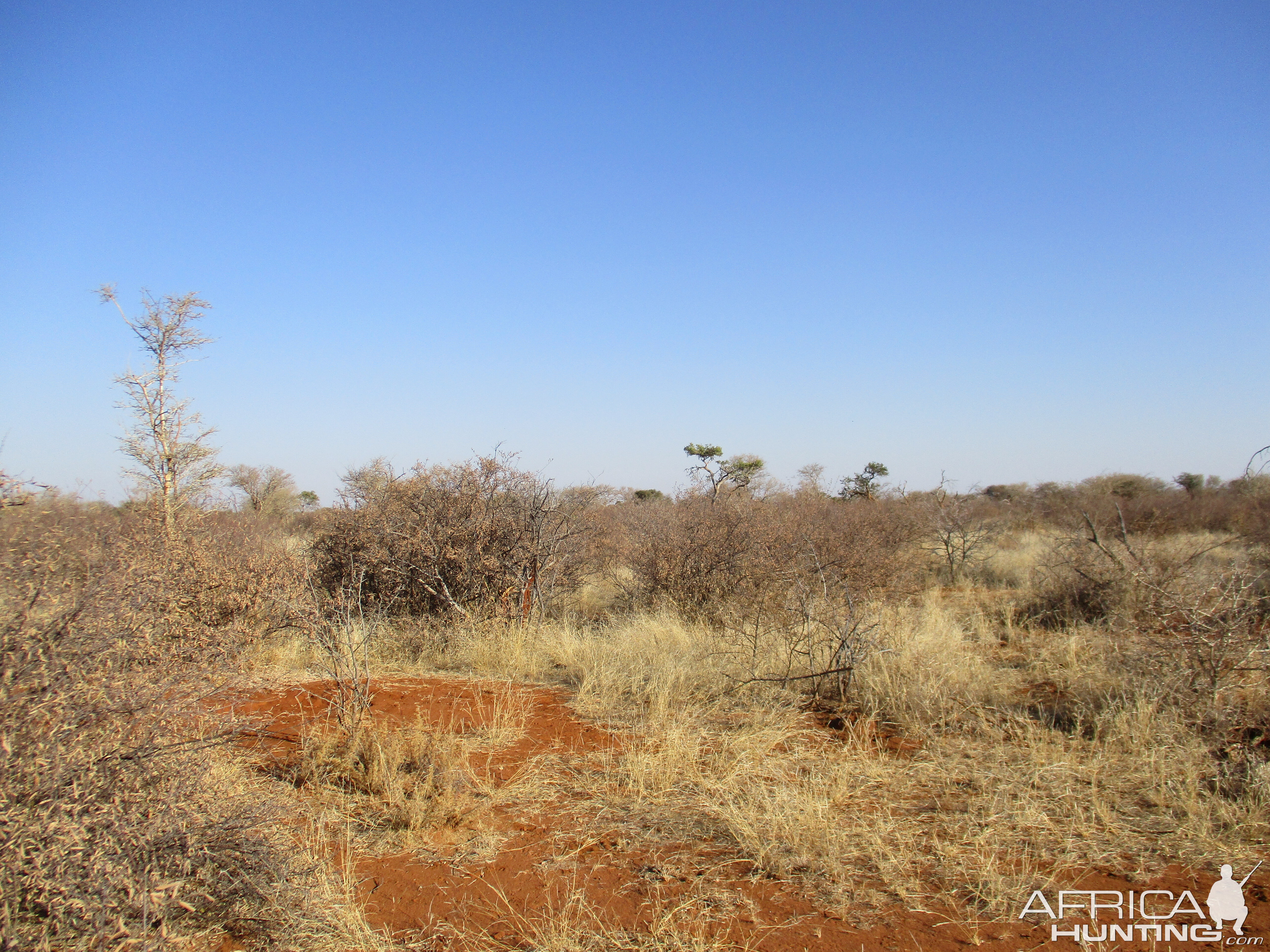 Hunt in South Africa