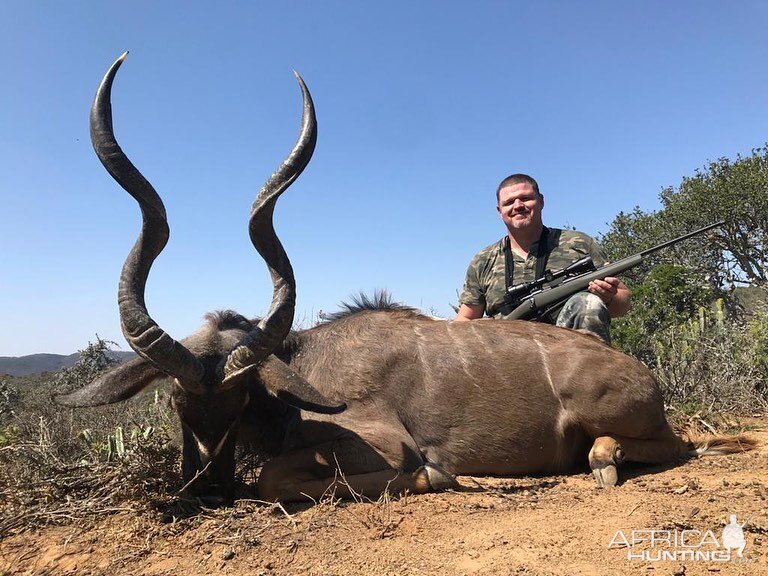 Hunt Kudu in South Africa