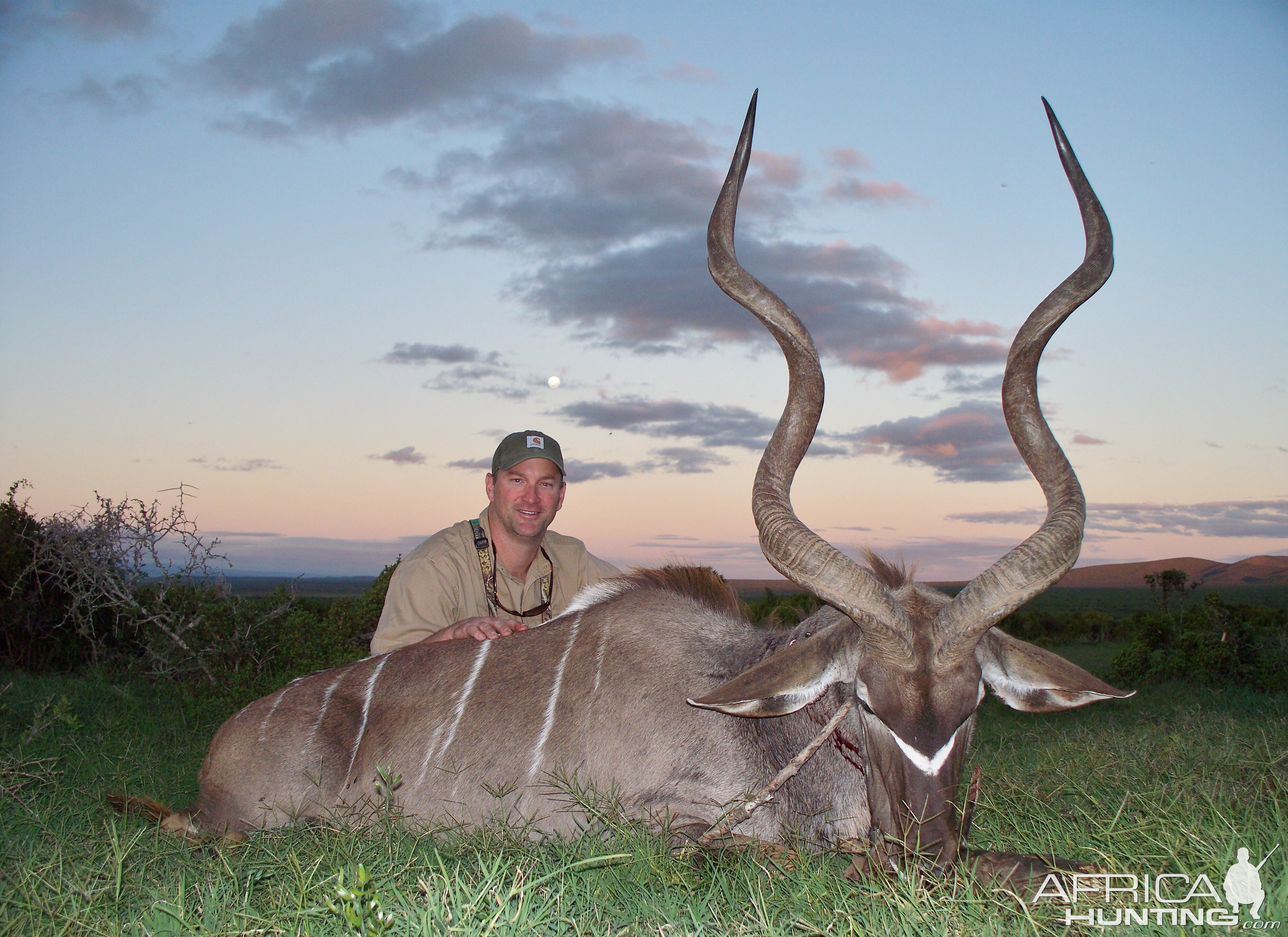 Hunt Kudu in South Africa