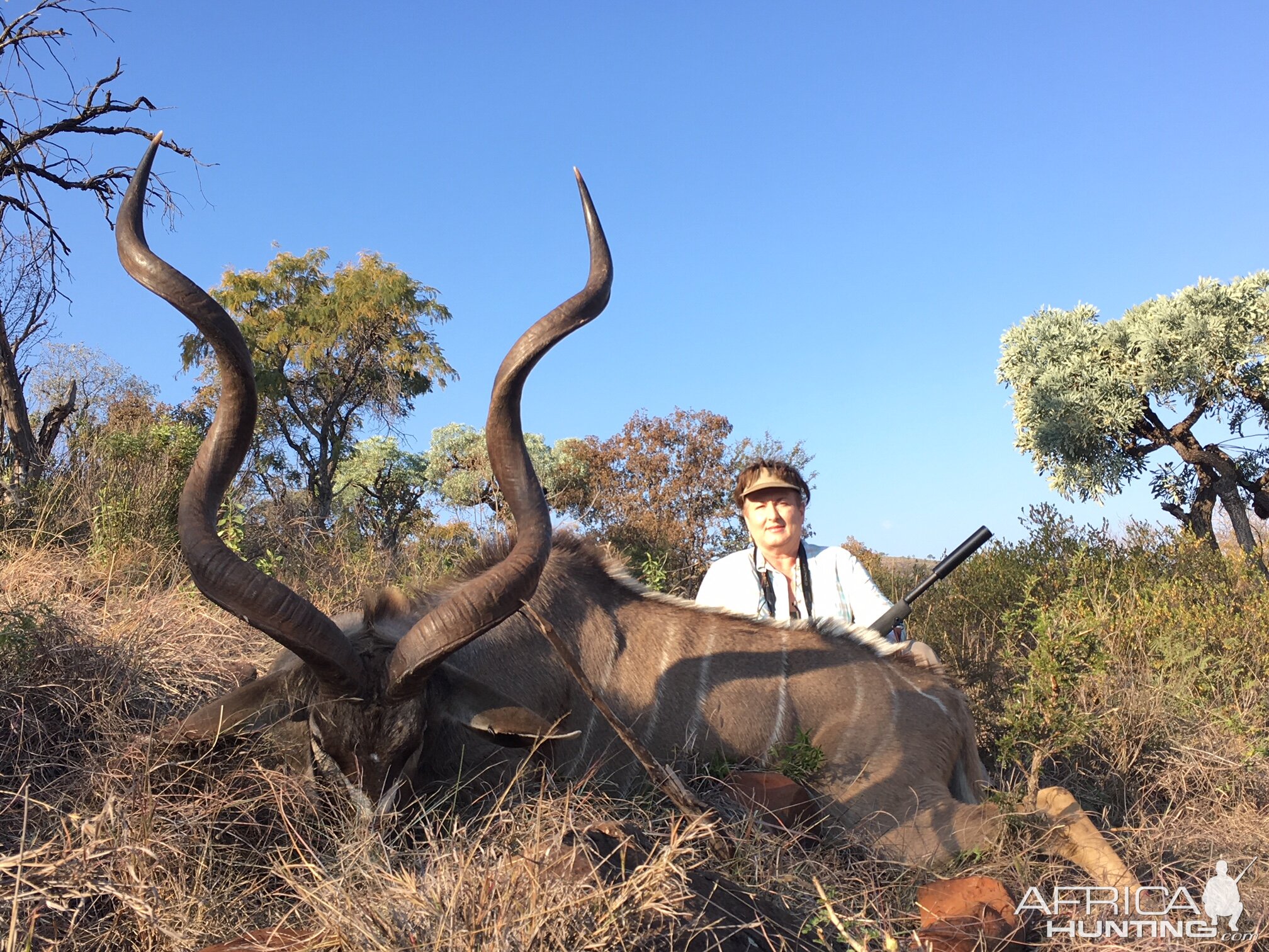 Hunt Kudu in South Africa