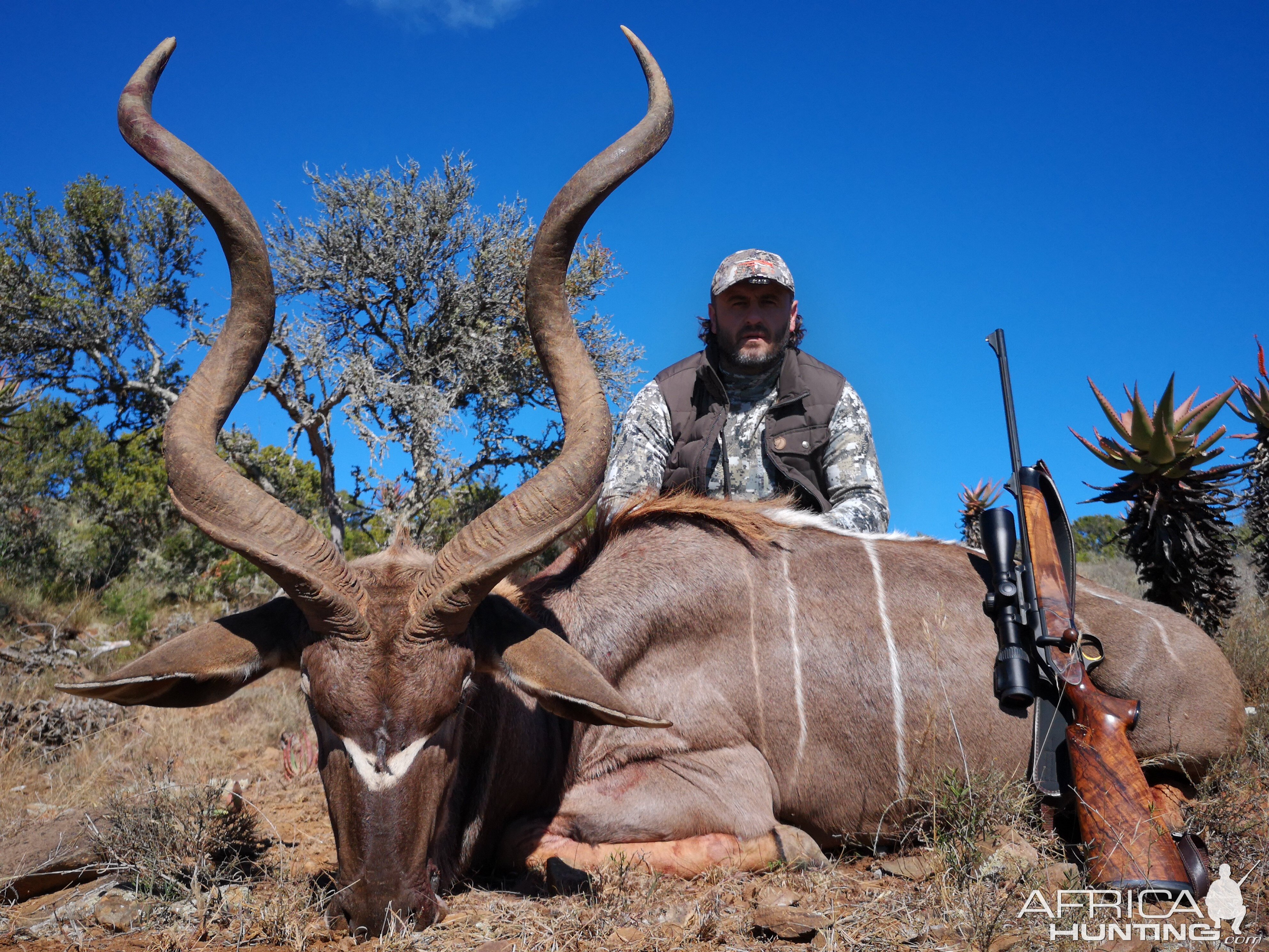 Hunt Kudu in South Africa