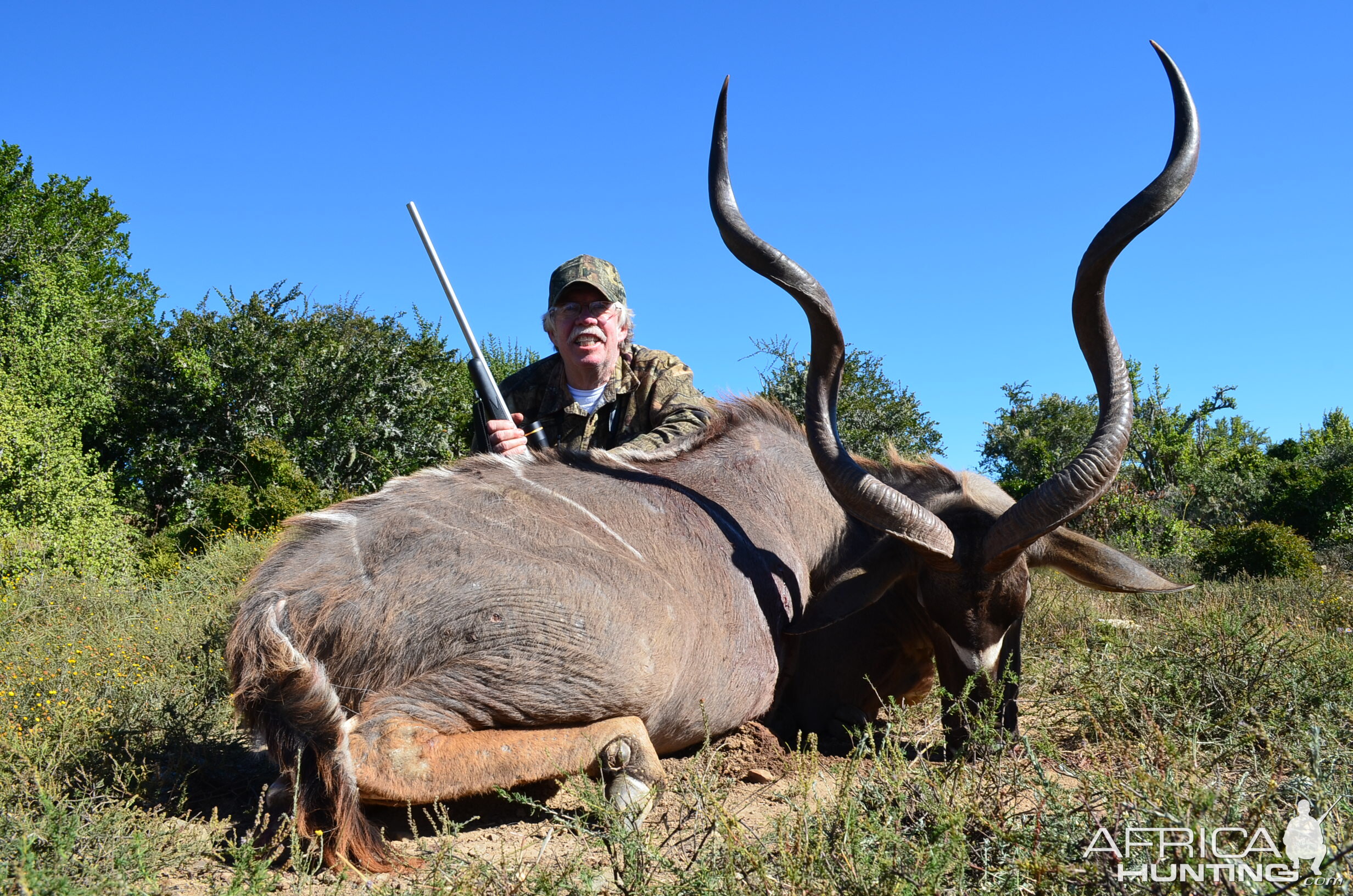 Hunt Kudu in South Africa