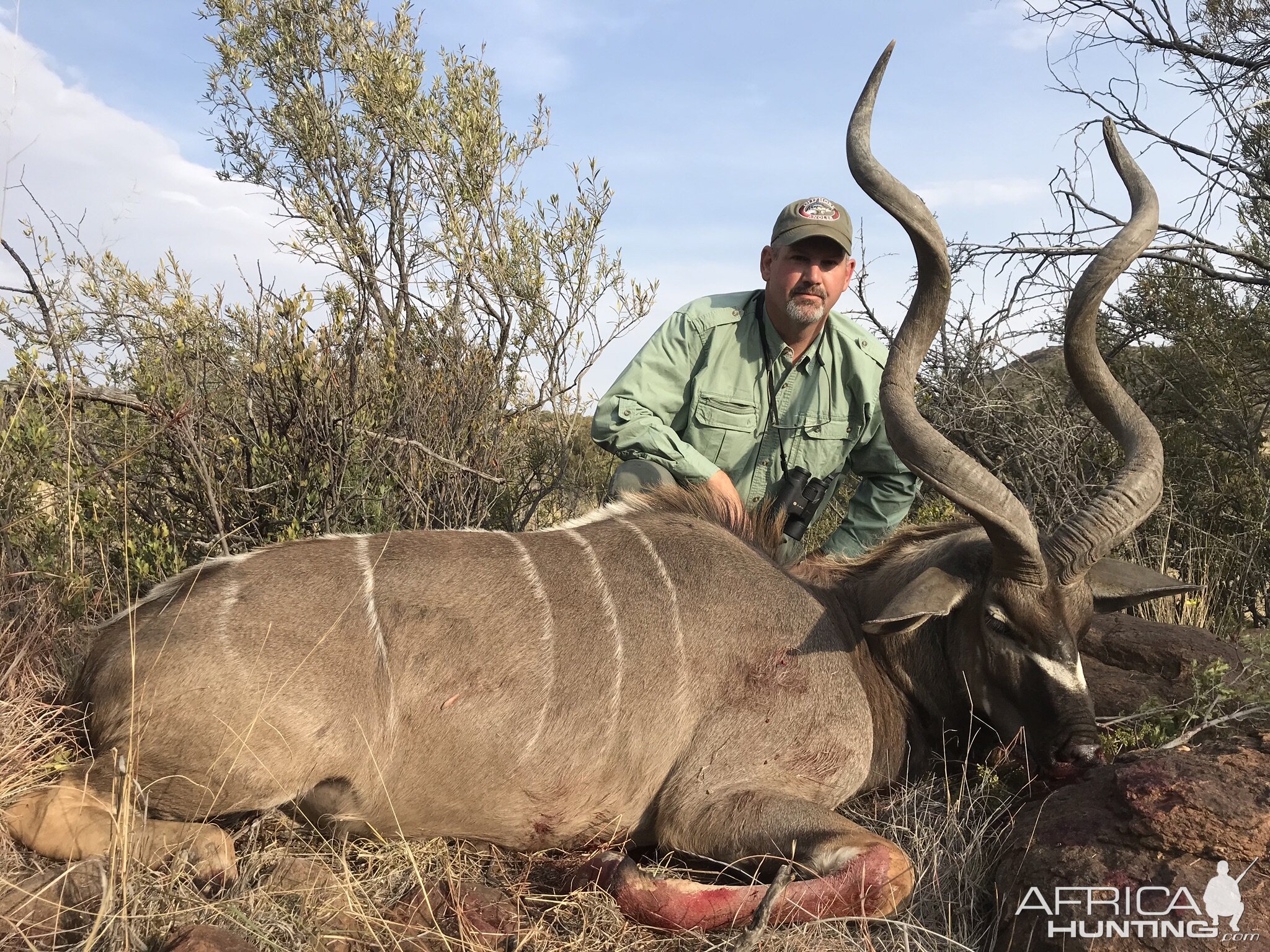 Hunt Kudu in South Africa