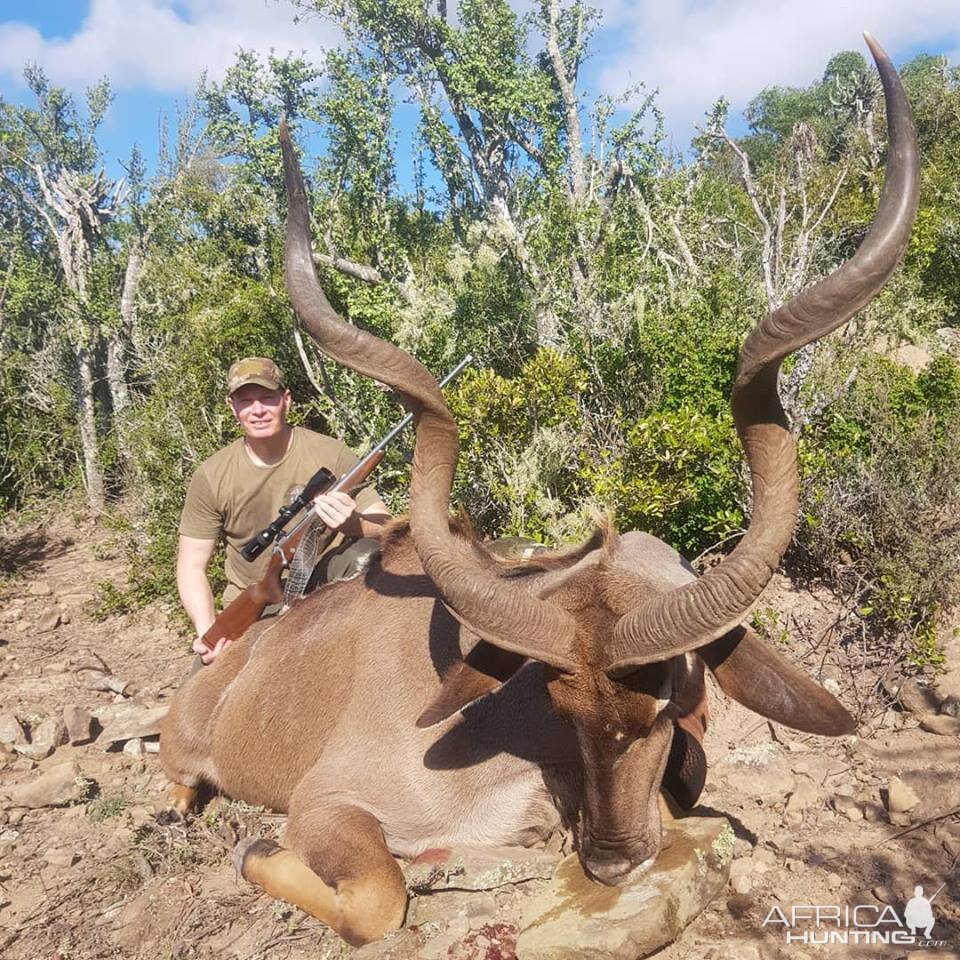 Hunt Kudu in South Africa