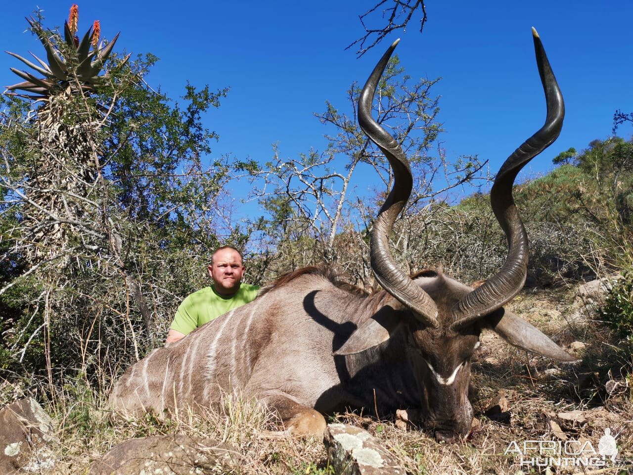 Hunt Kudu In South Africa | AfricaHunting.com