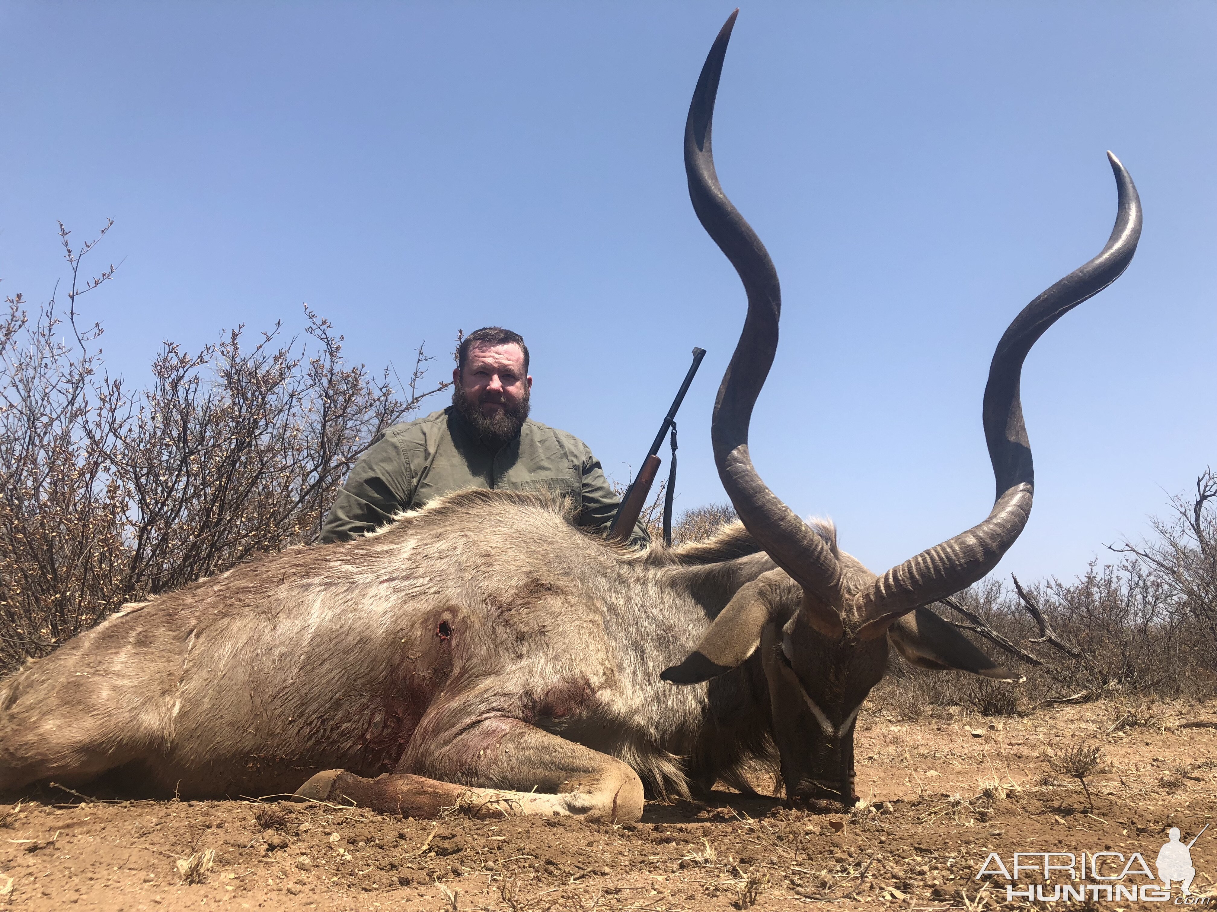 Hunt Kudu in South Africa