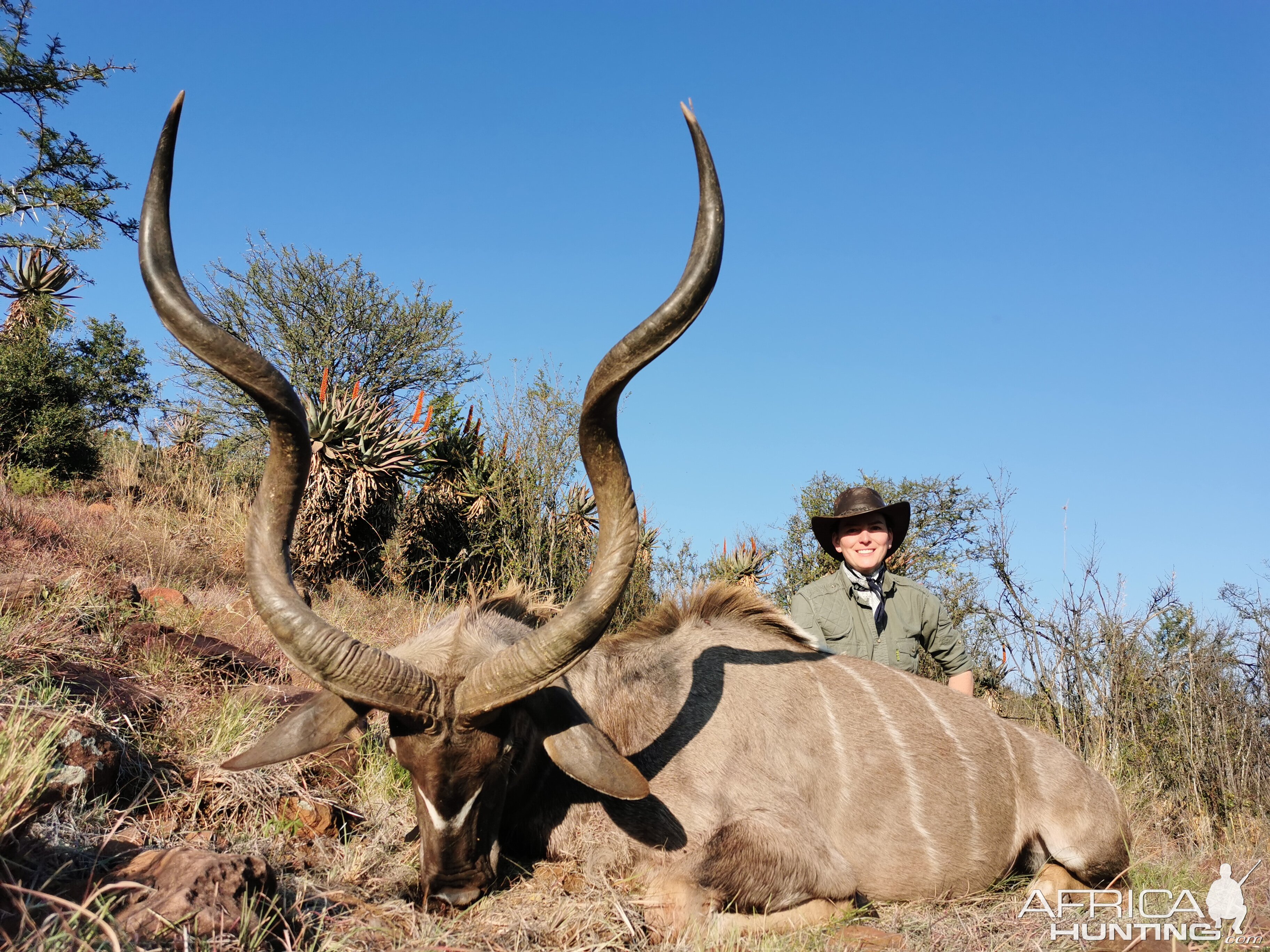 Hunt Kudu in South Africa