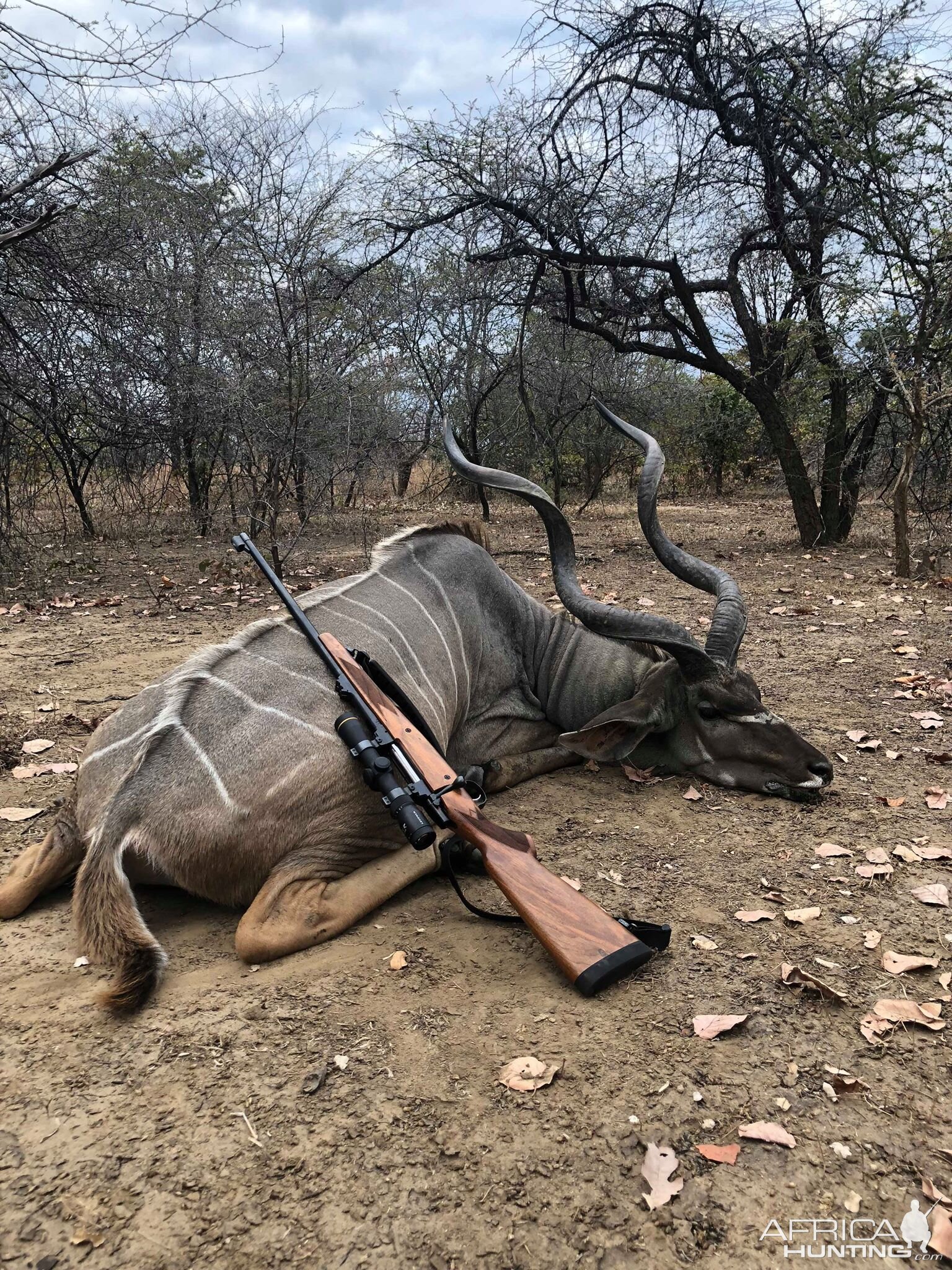 Hunt Kudu in Zambia