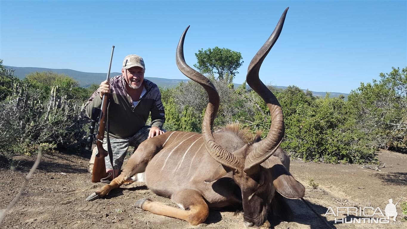 Hunt Kudu South Africa