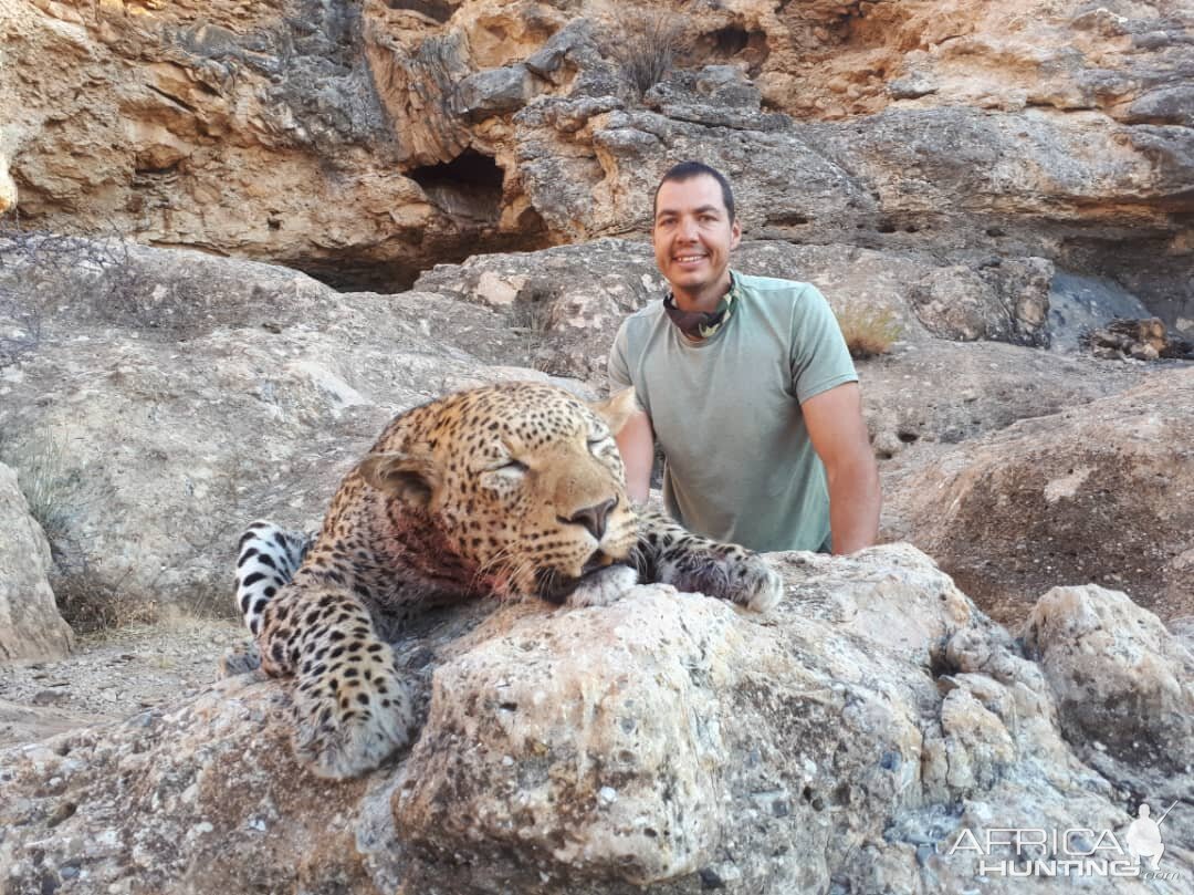 Hunt Leopard in Namibia