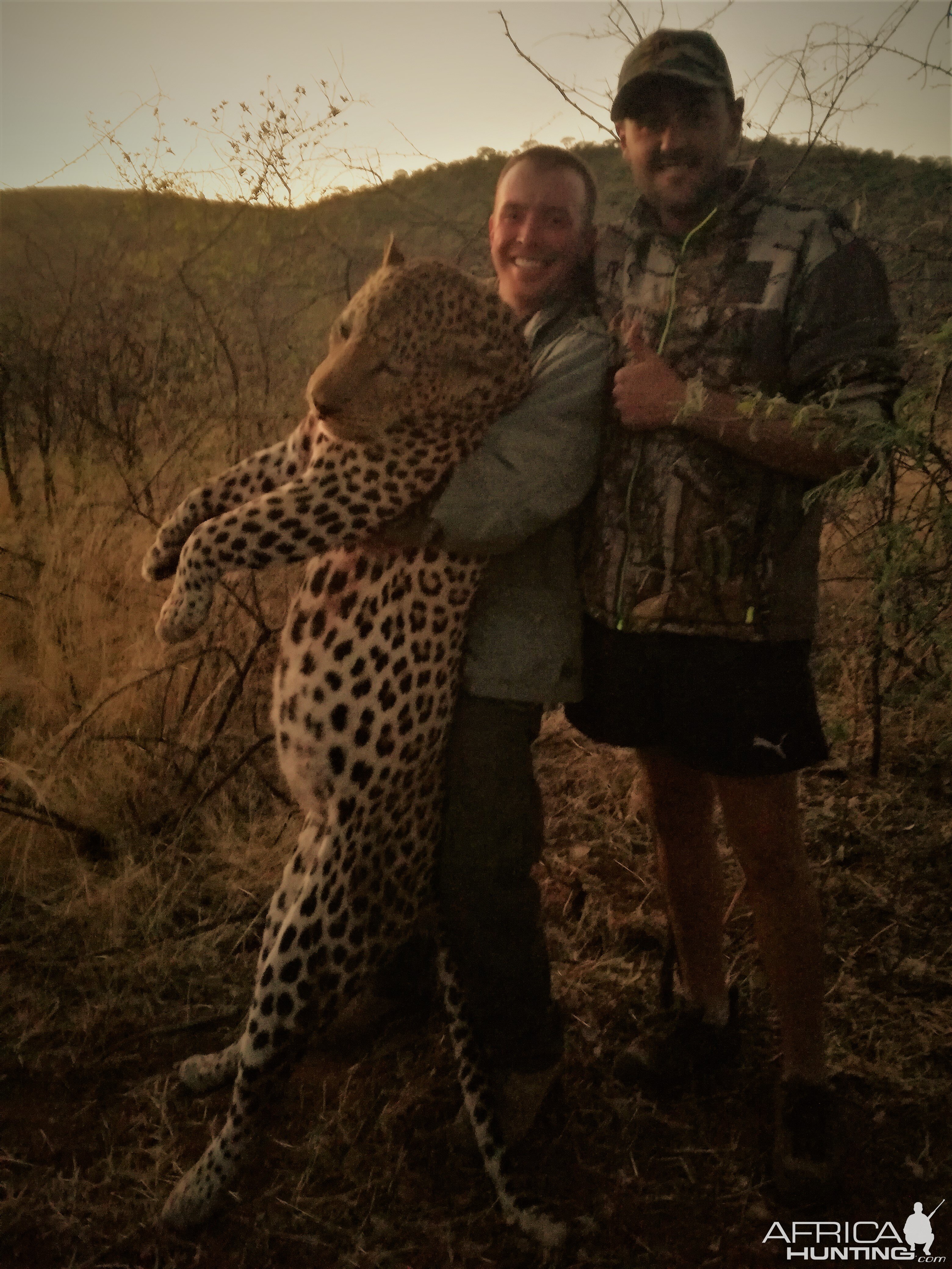 Hunt Leopard in Namibia