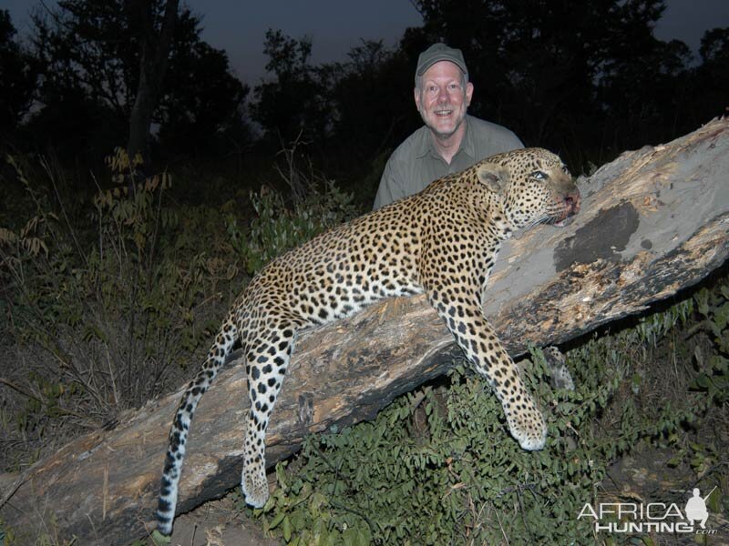 Hunt Leopard in Namibia | AfricaHunting.com