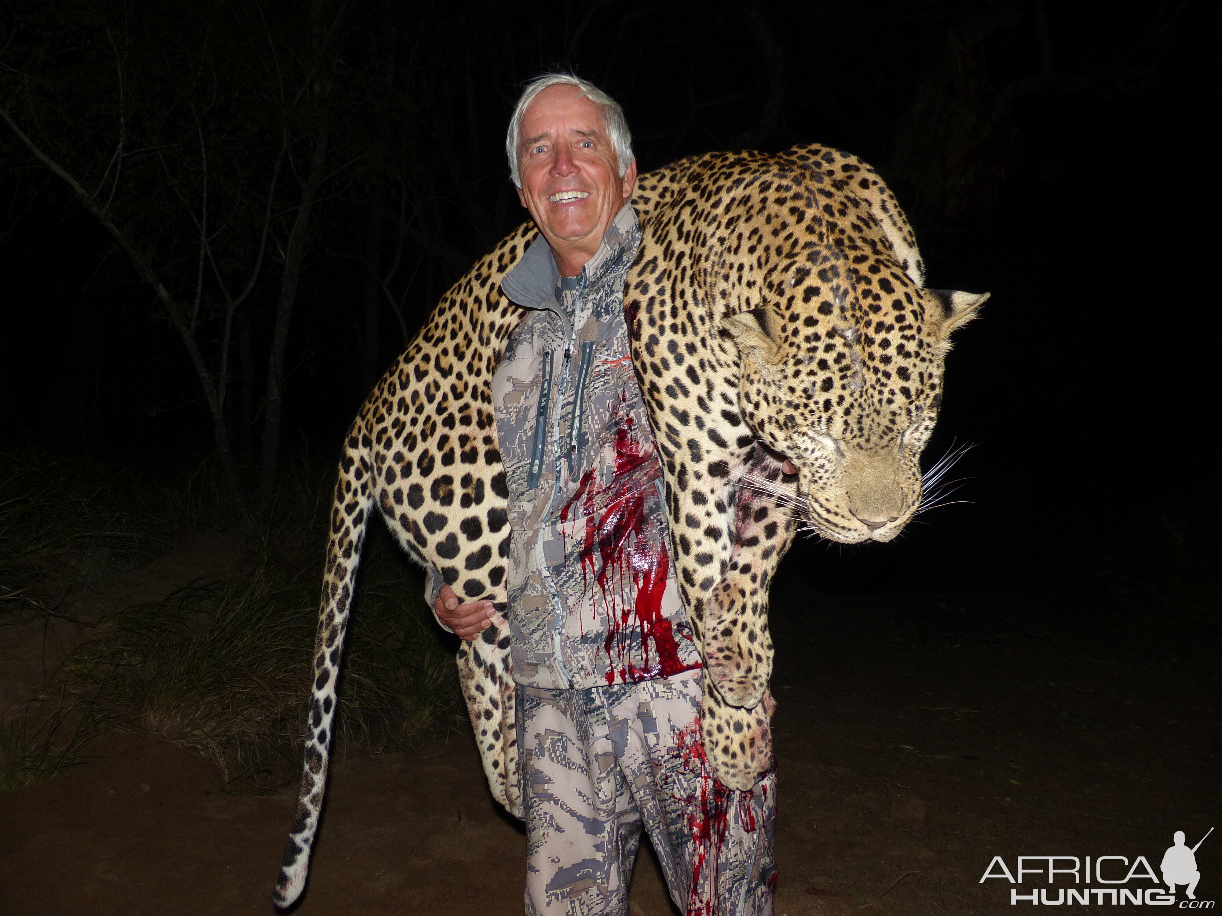 Hunt Leopard in South Africa