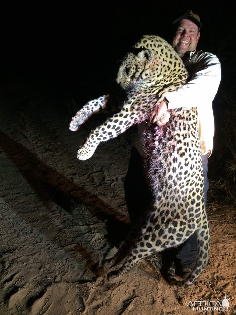 Hunt Leopard Zimbabwe