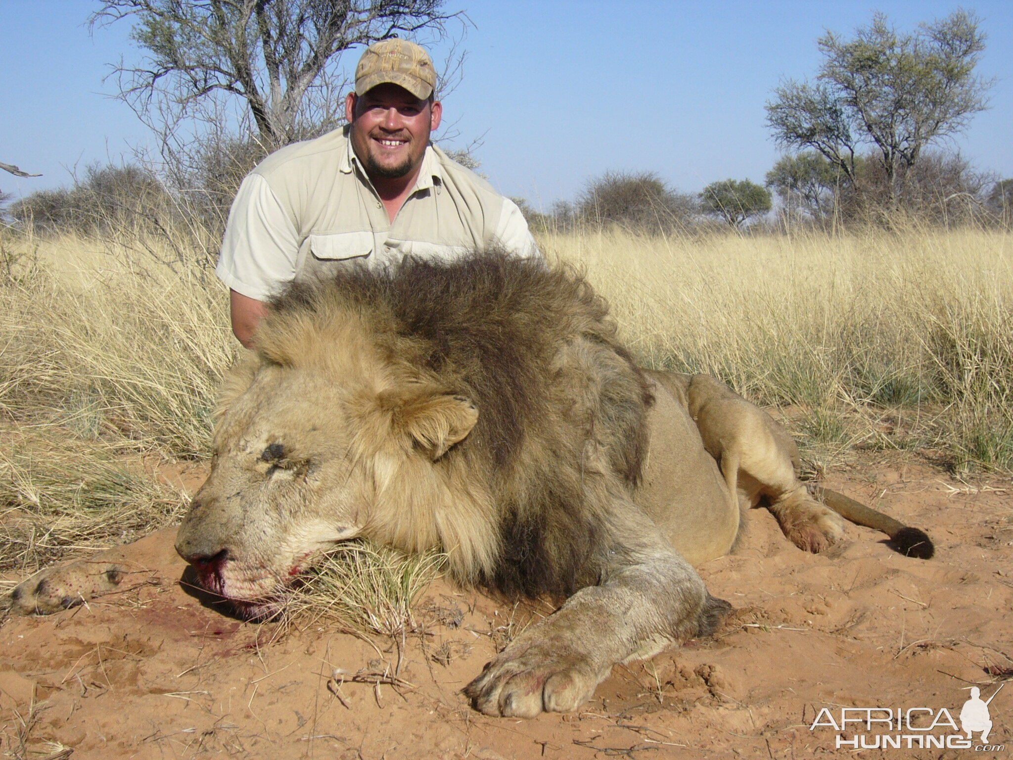 Hunt Lion in South Africa