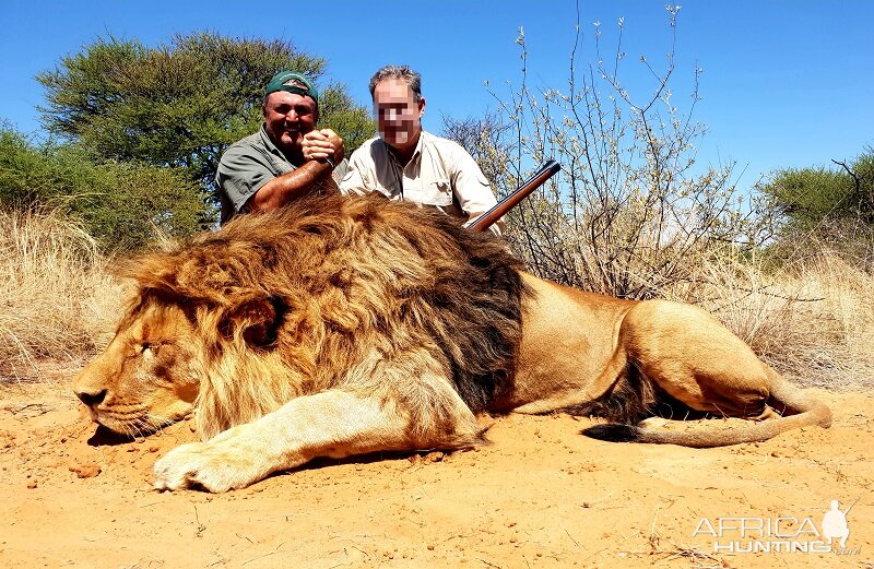 Hunt Lion in South Africa