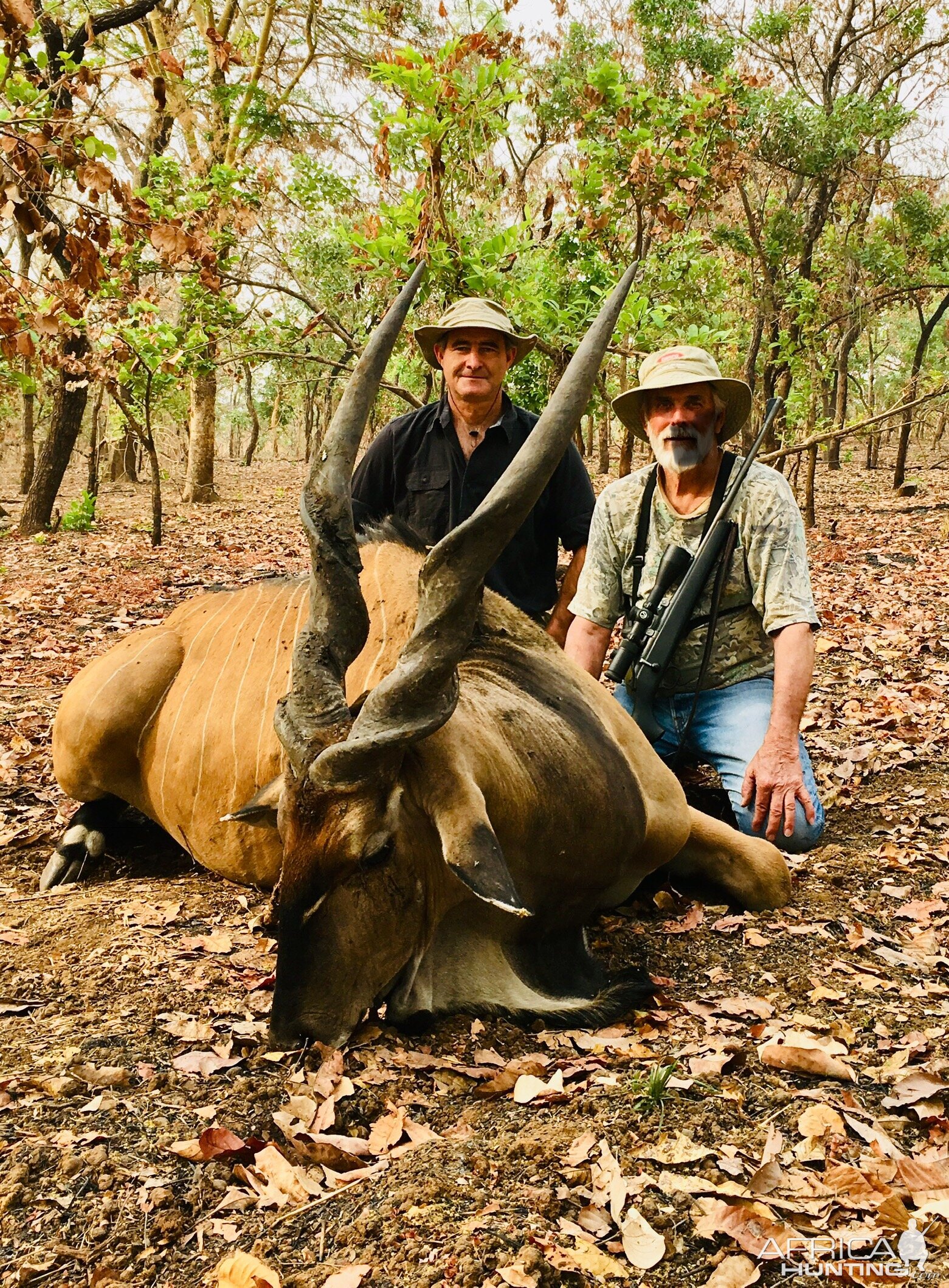 Hunt Lord Derby in Cameroon