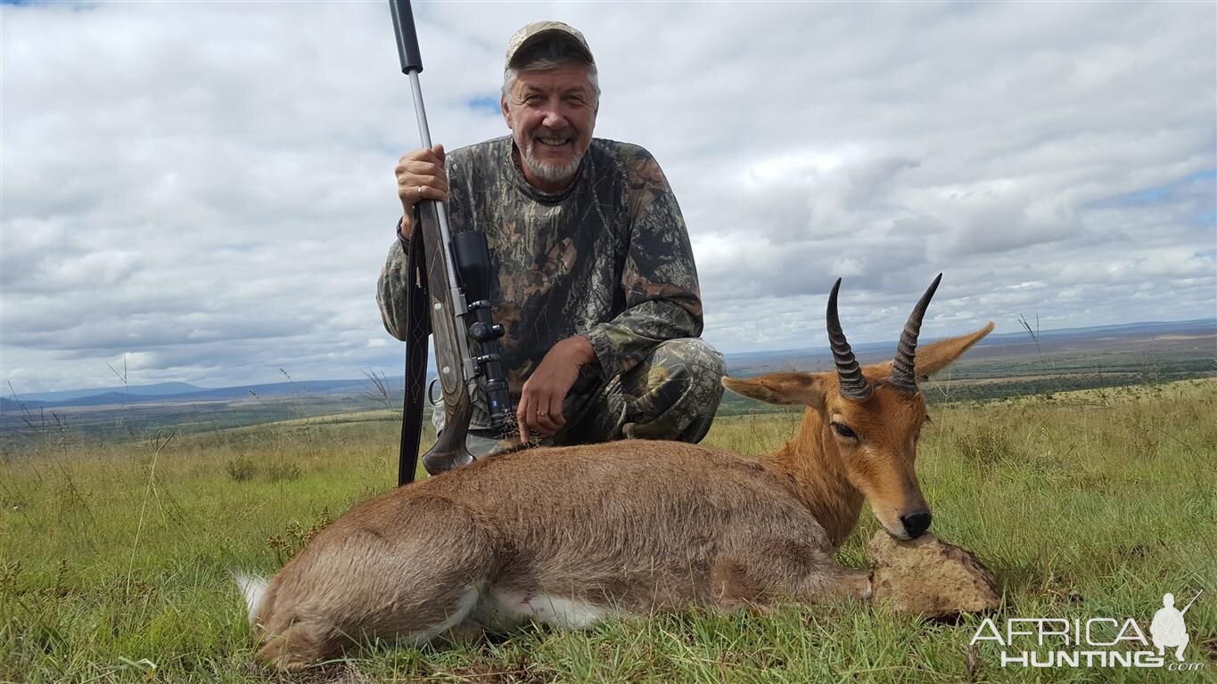 Hunt Mountain Reedbuck South Africa